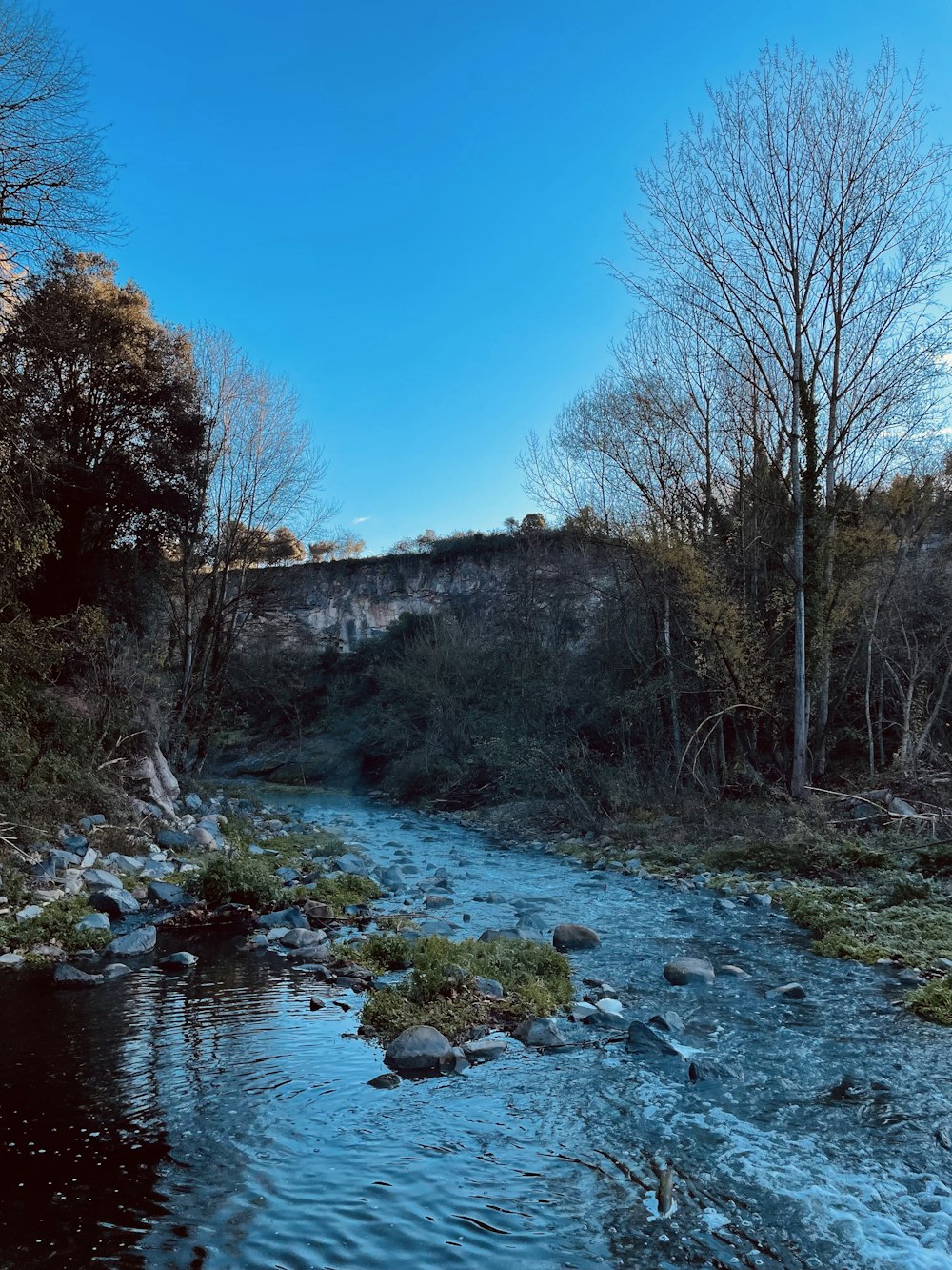 a river with rocks and trees