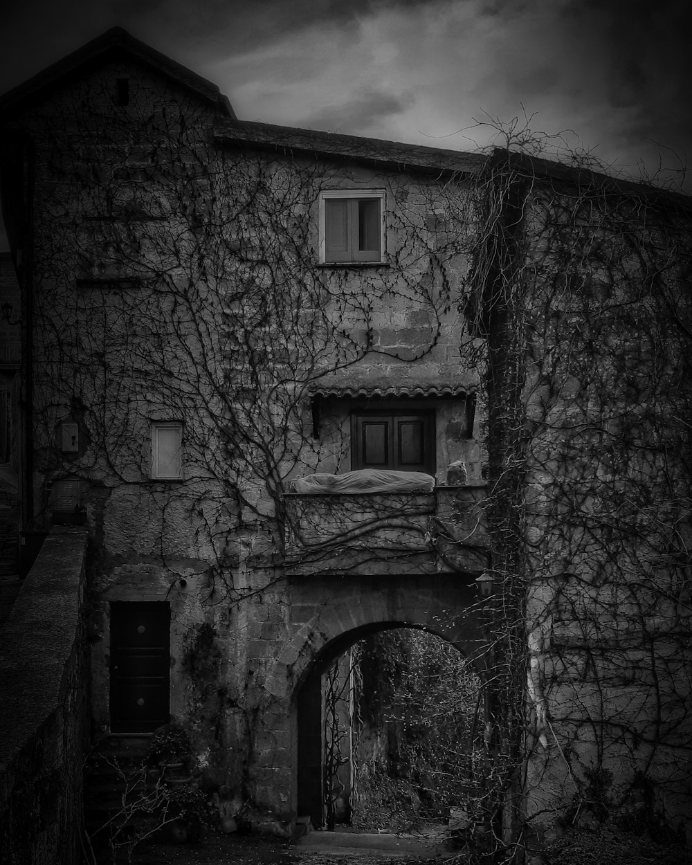 a stone building with a tree growing out of it