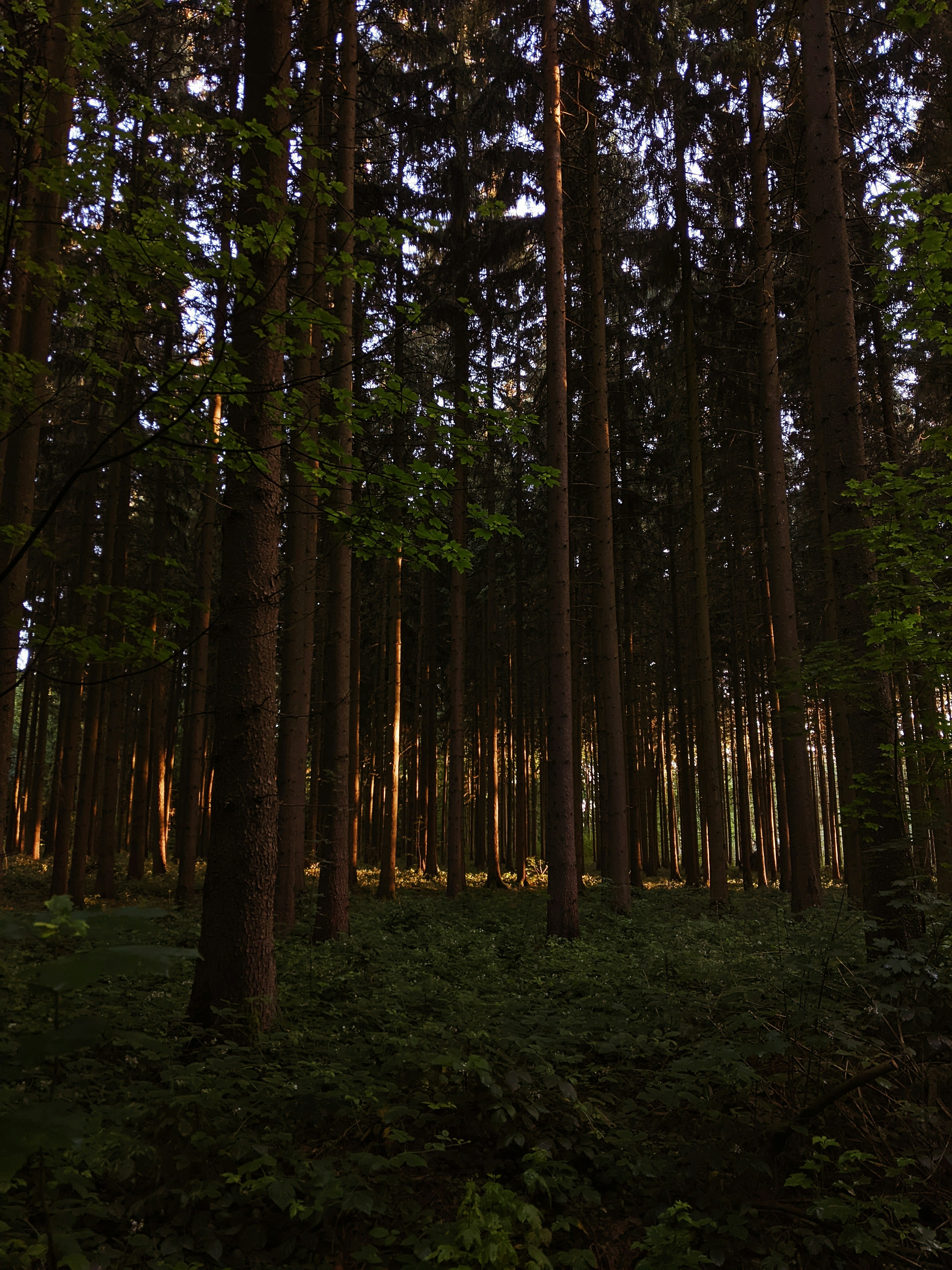 Photo by muchowakoid