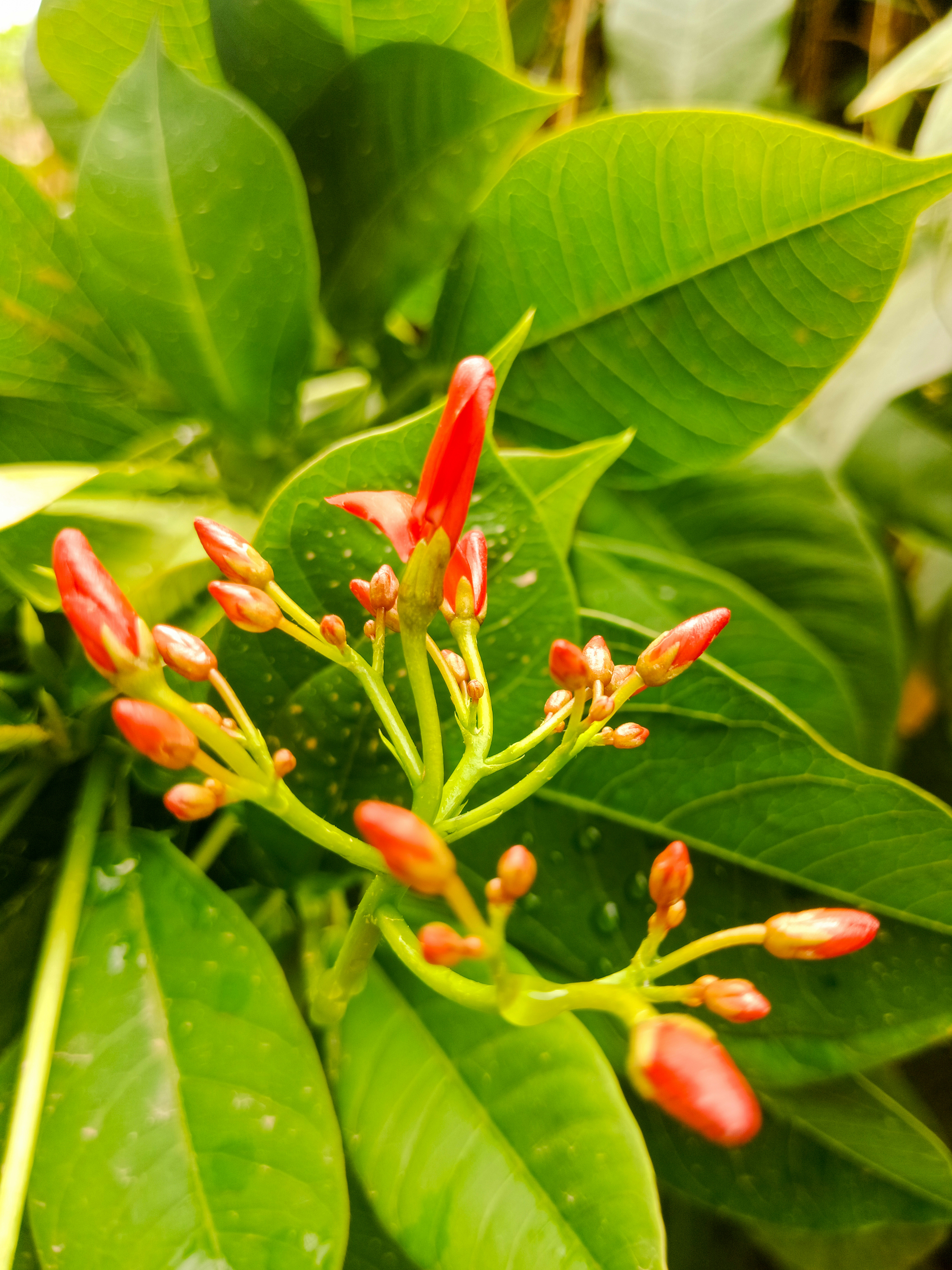 Photo by beeyondlogic