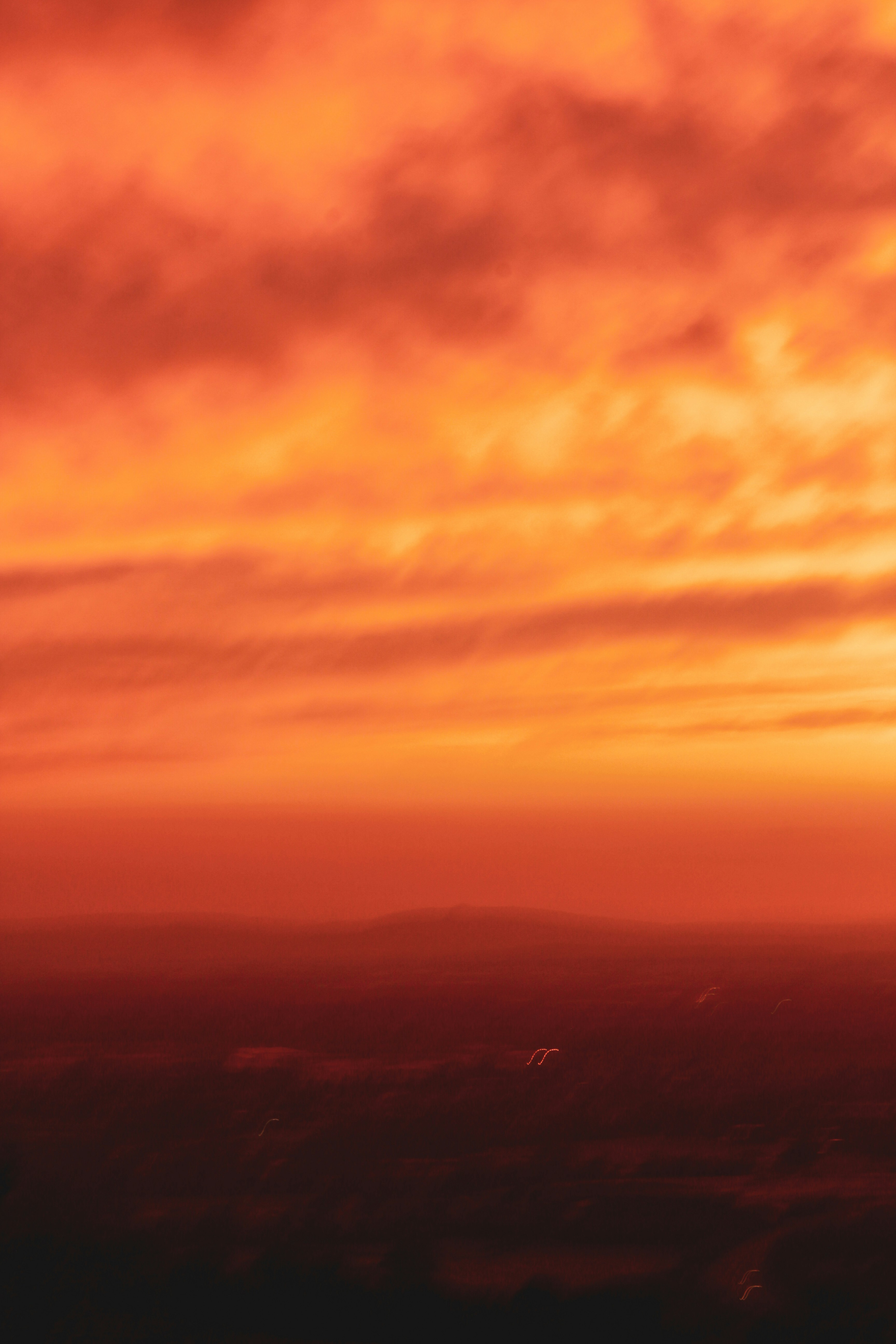 Photo by secondsight