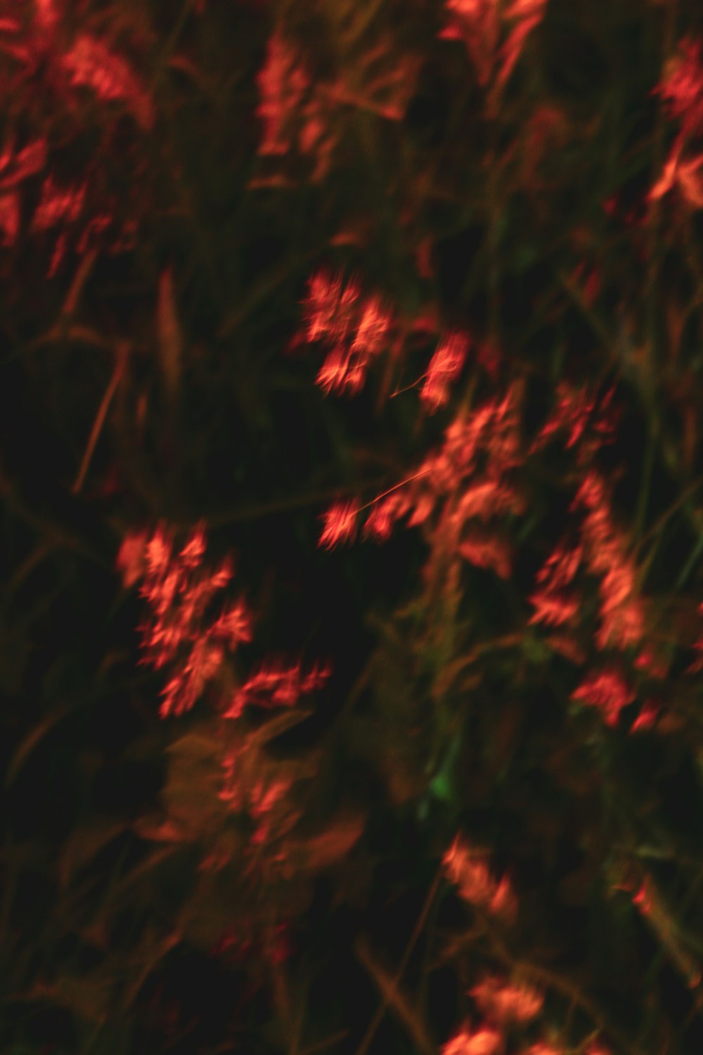 a close up of red and black fireworks