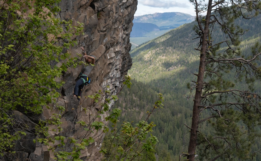 a person climbing a rock