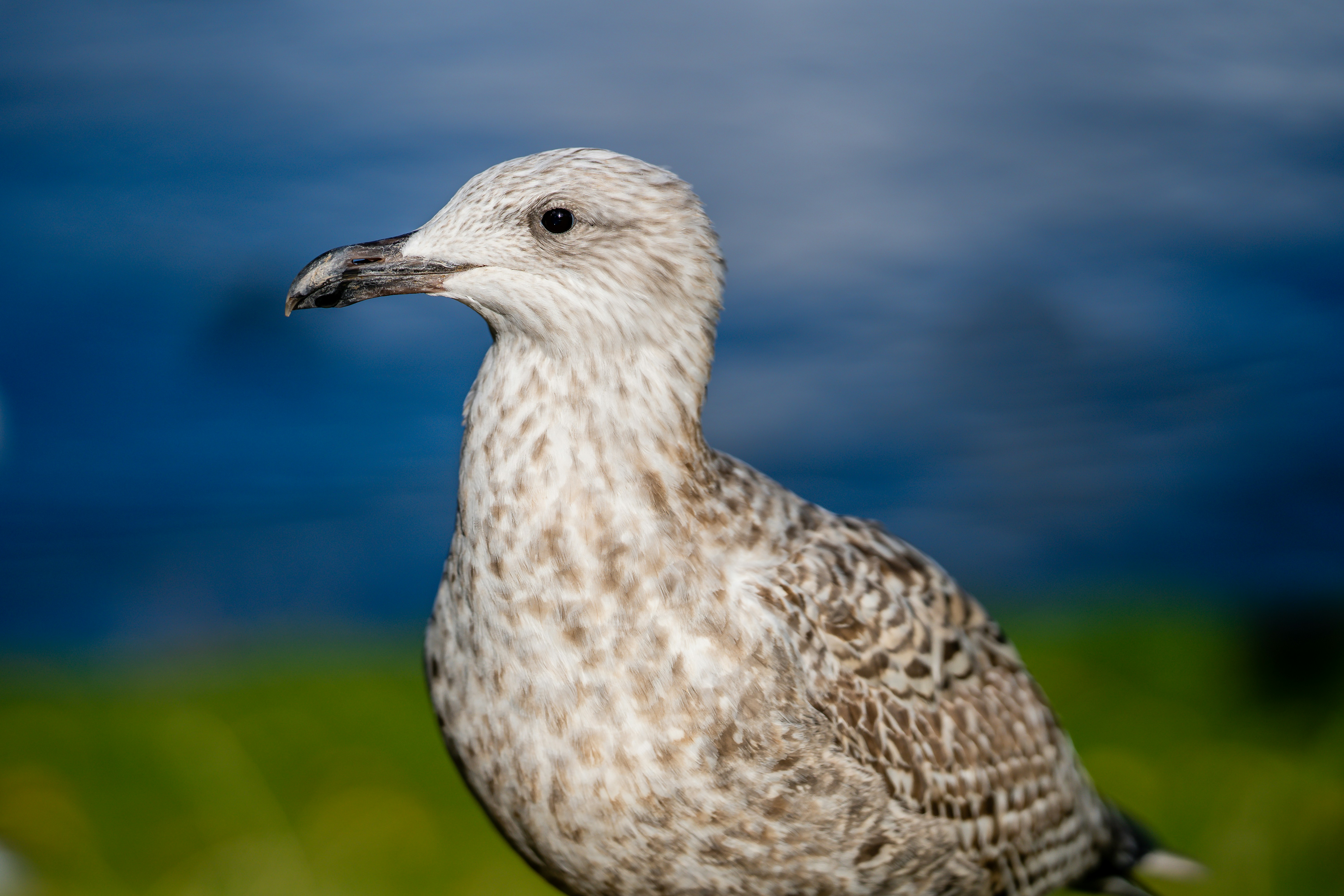 Photo by omarvellous14