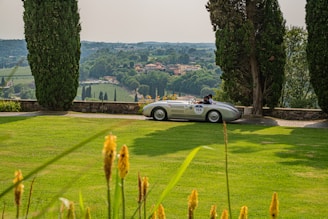 A stunning vintage car parked in a scenic location.