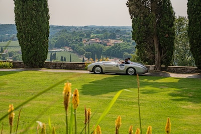 A stunning vintage car parked in a scenic location.