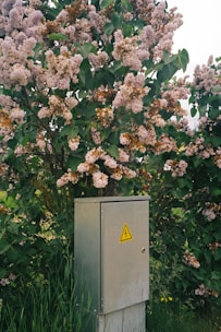 a tree with a sign on it