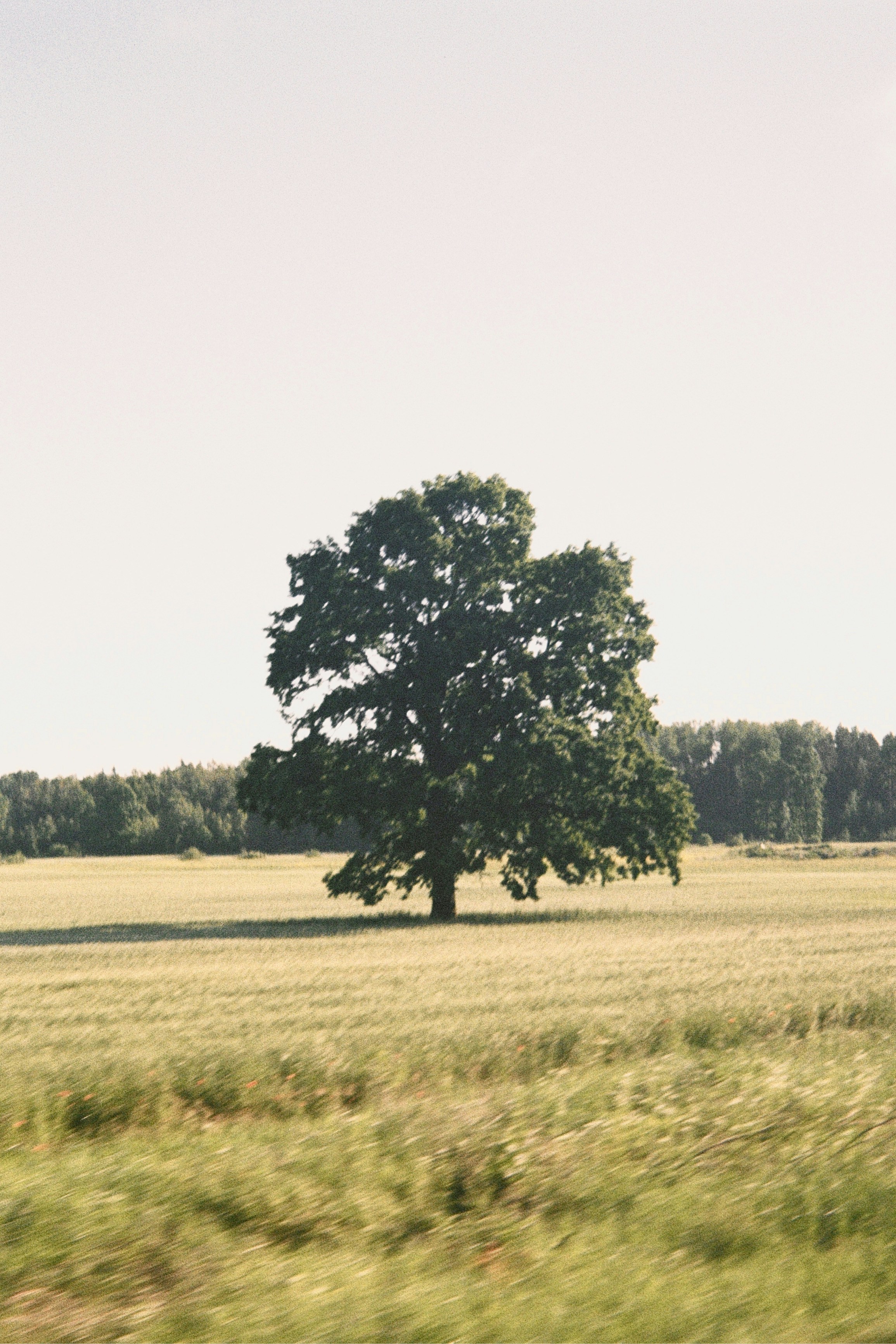 Photo by kazaks