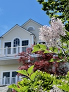 a tree with pink flowers in front of a white building