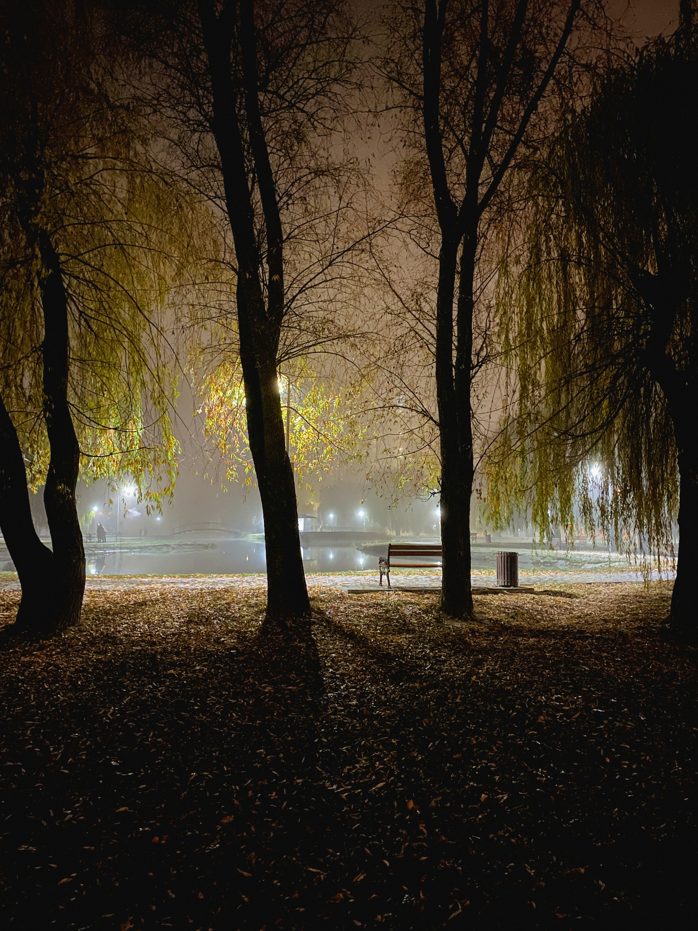 A person walking in a park photo – Free Wallpaper Image on Unsplash, image size:3000x4000