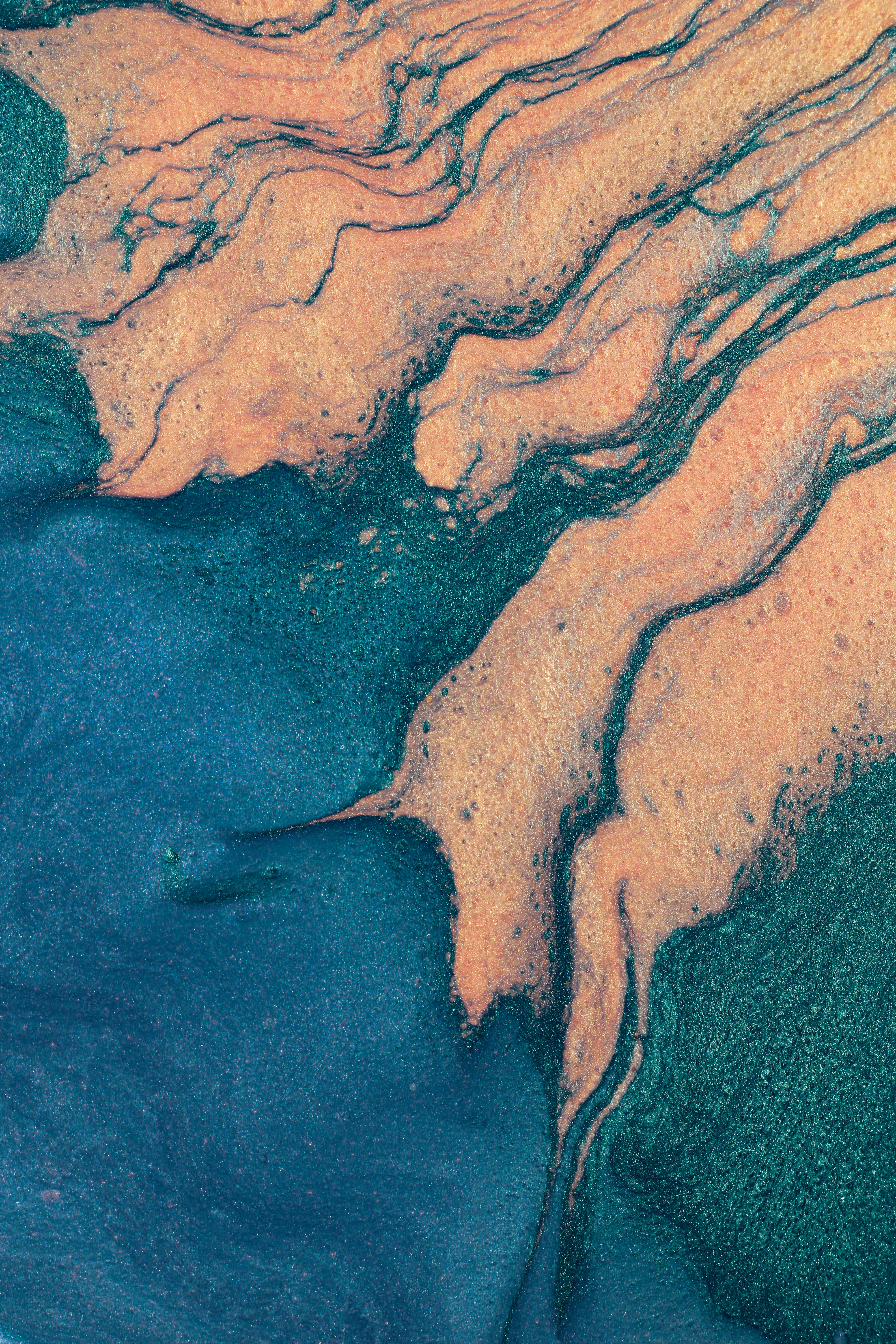 Photo by susan_wilkinson