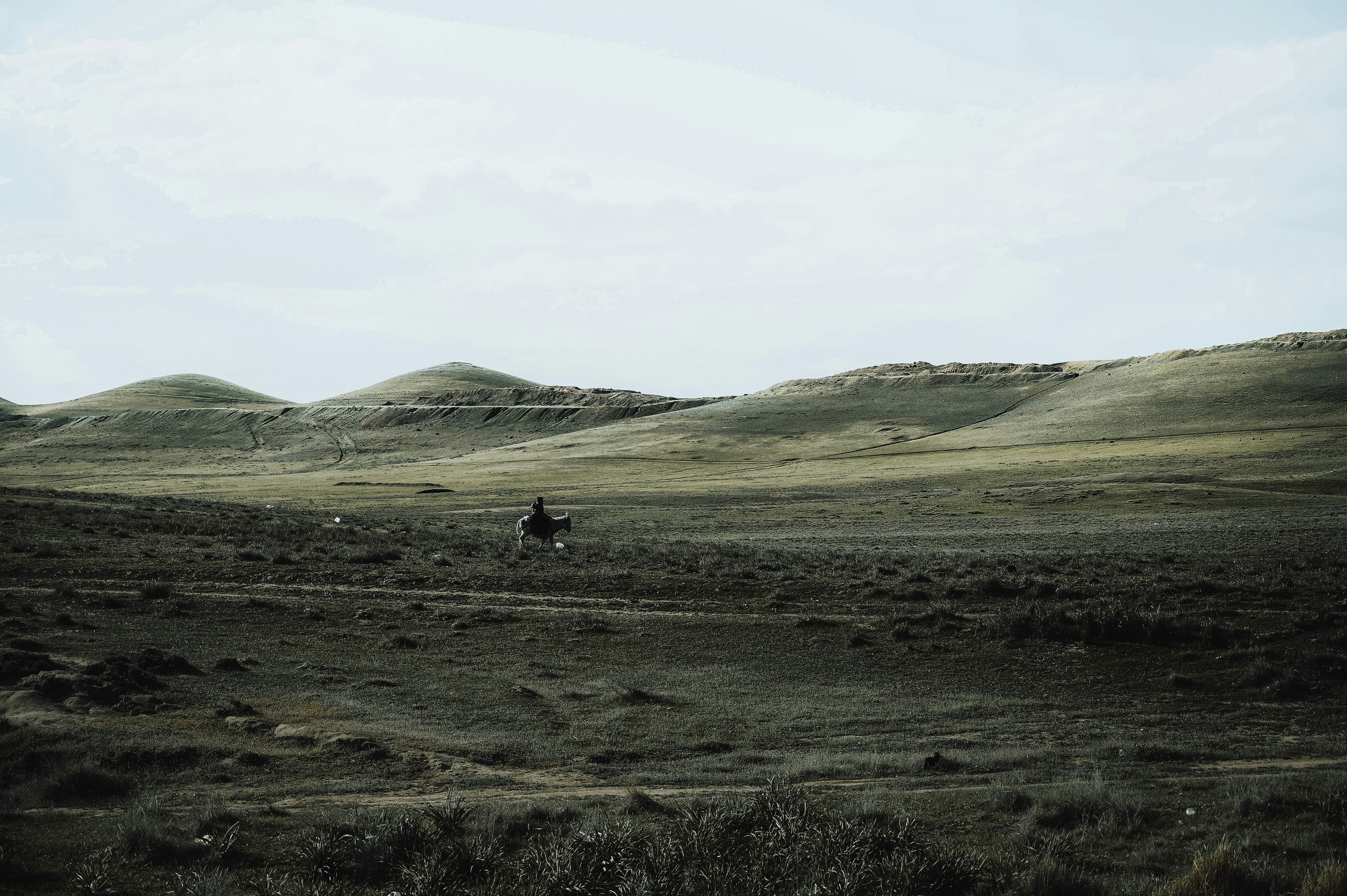 Photo by imohammadmajid