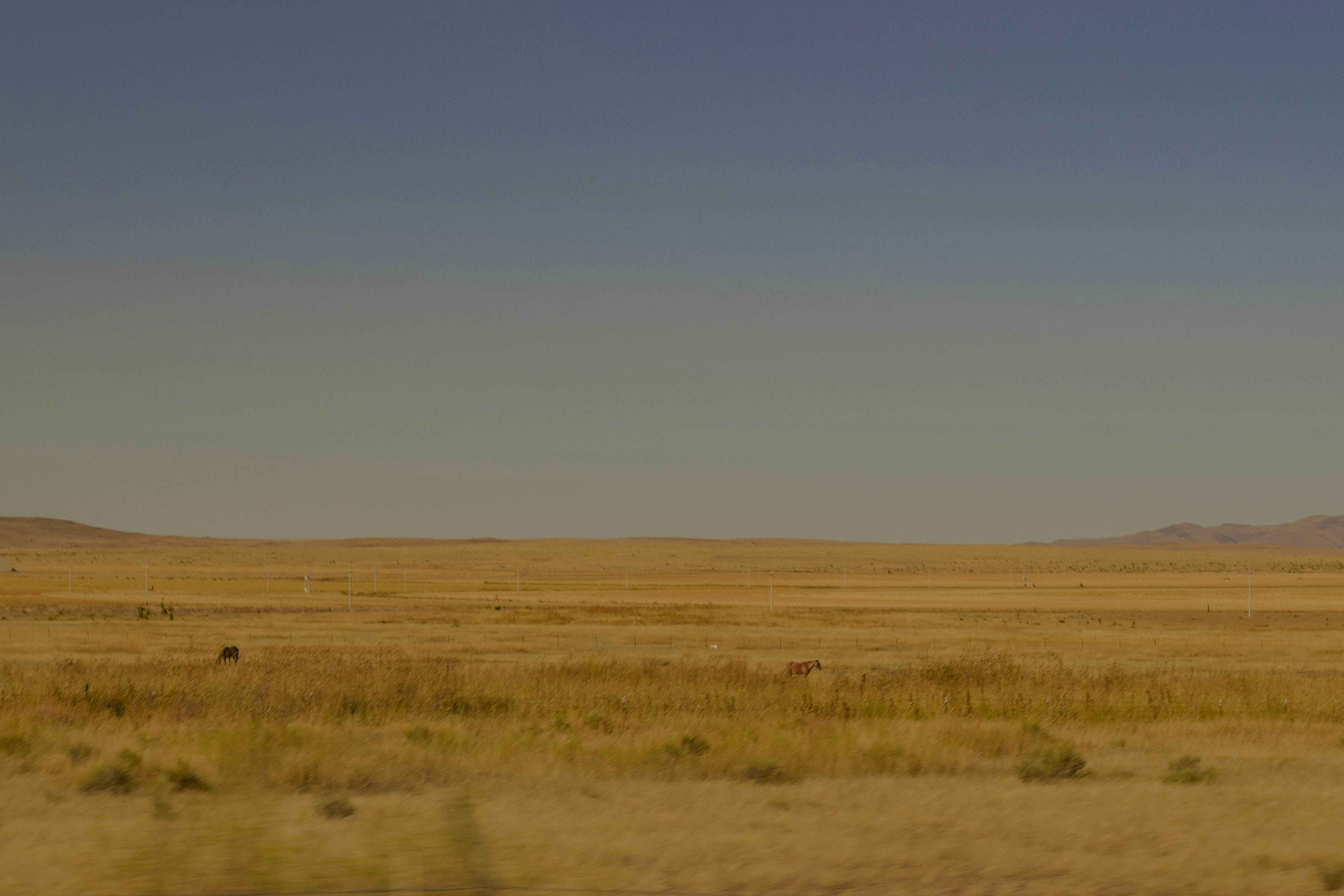 Photo by andreabrambilaa