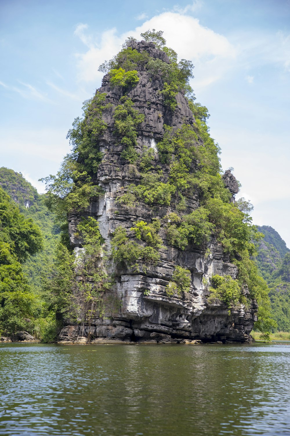 a large rock cliff with trees on it