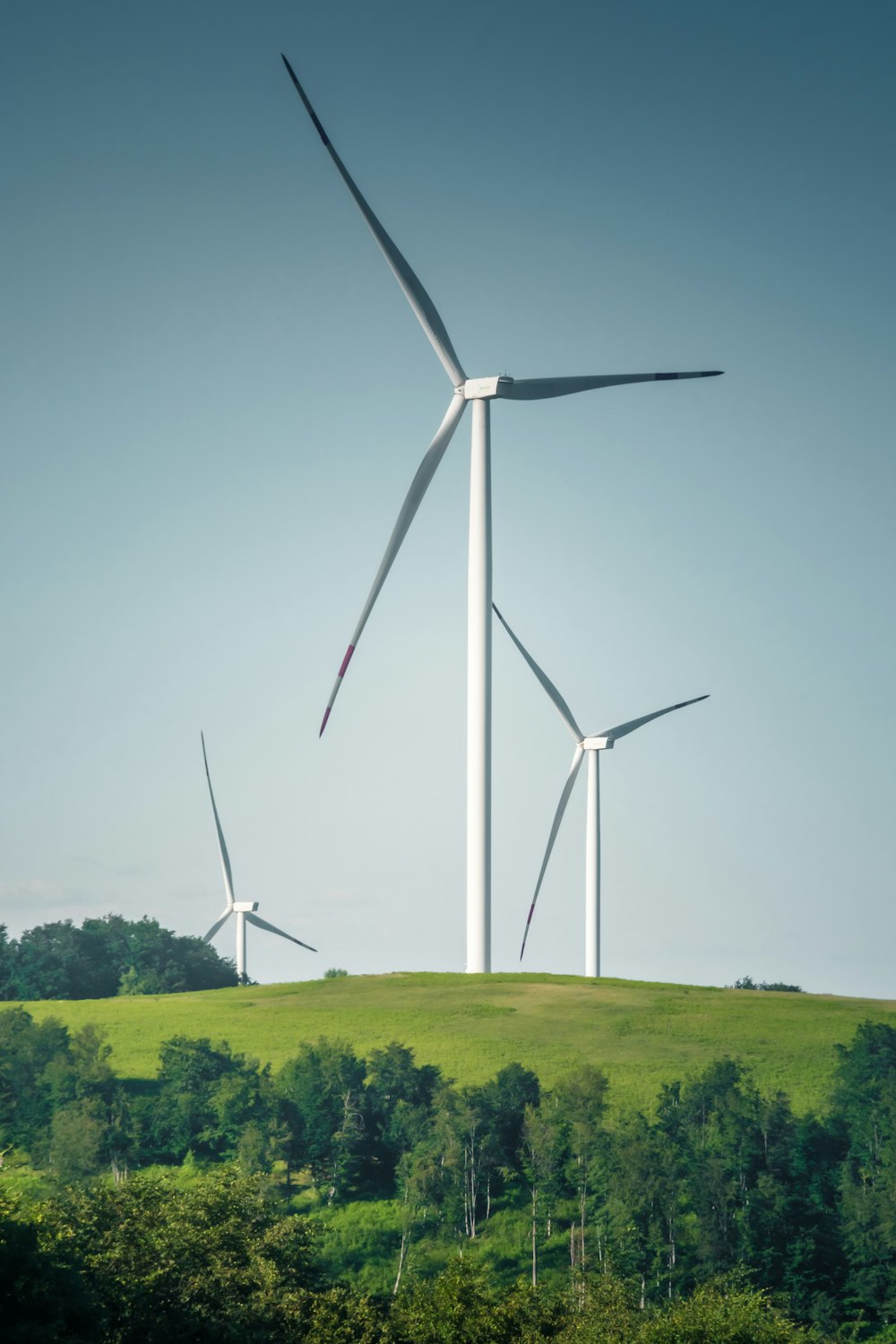 a group of wind turbines