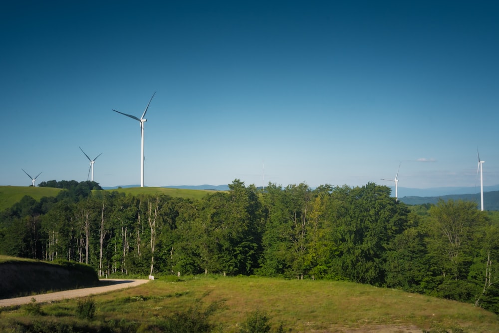 a group of wind turbines in a forest