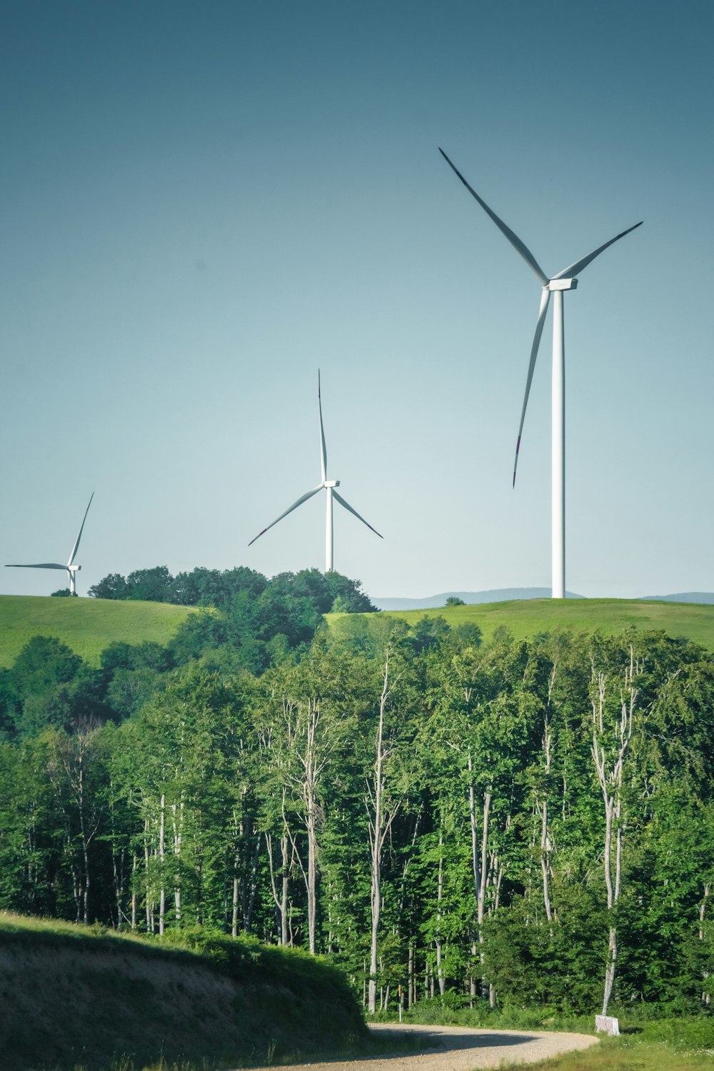 a windmill in a forest with Albany Wind Farm in the background