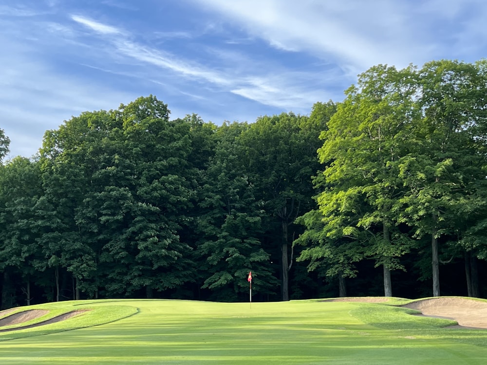 a golf course with trees