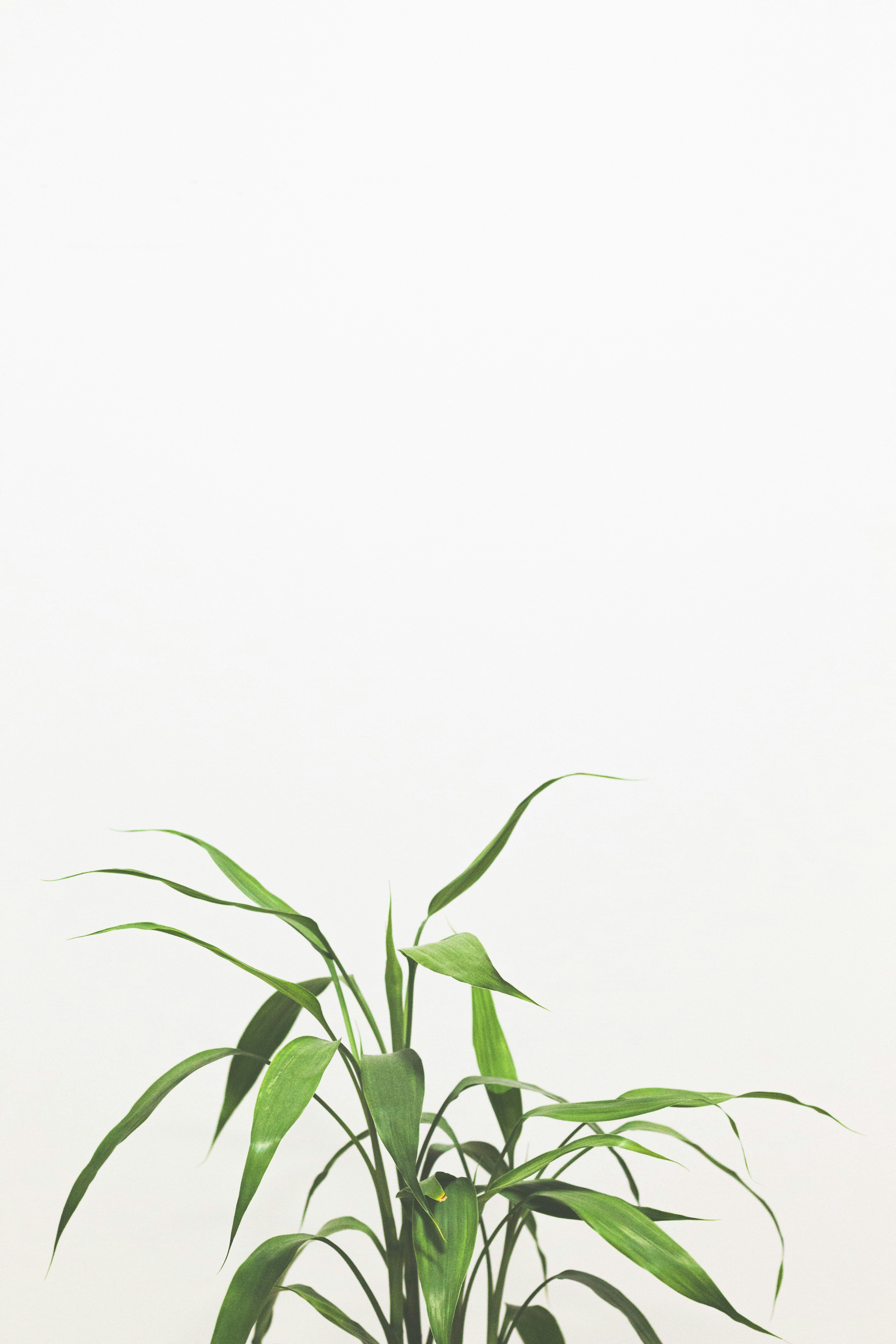 Photo by rodriguesallan