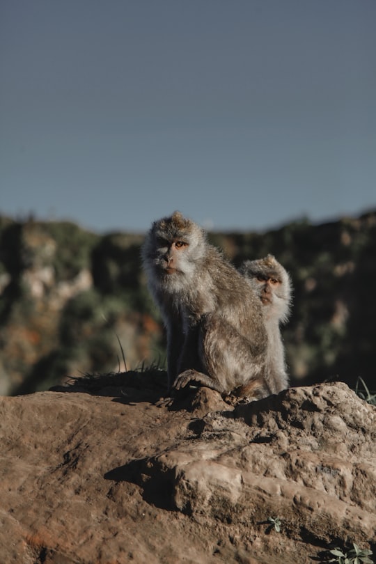 None in Mount Batur Indonesia