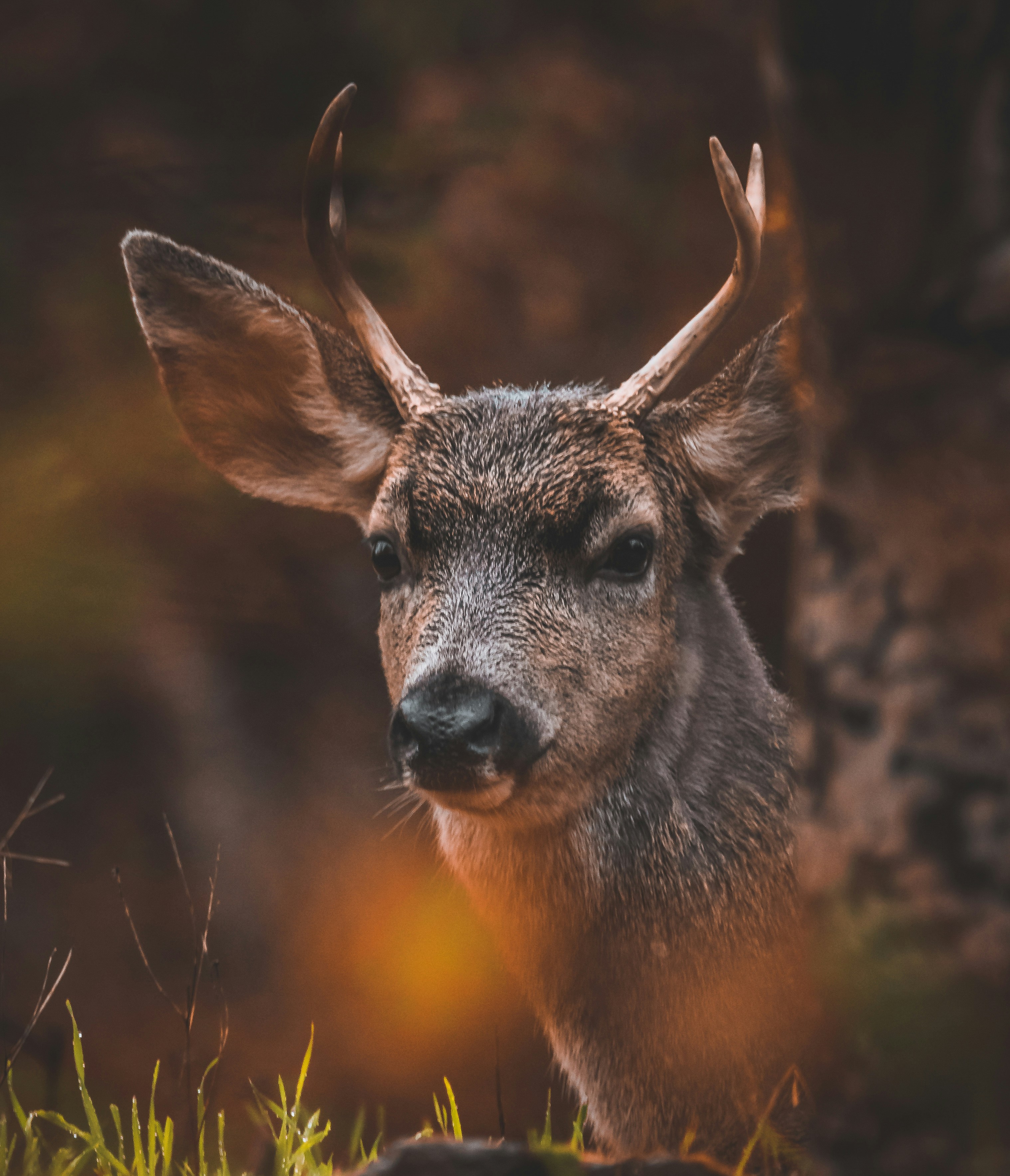 Photo by stumptownphotography