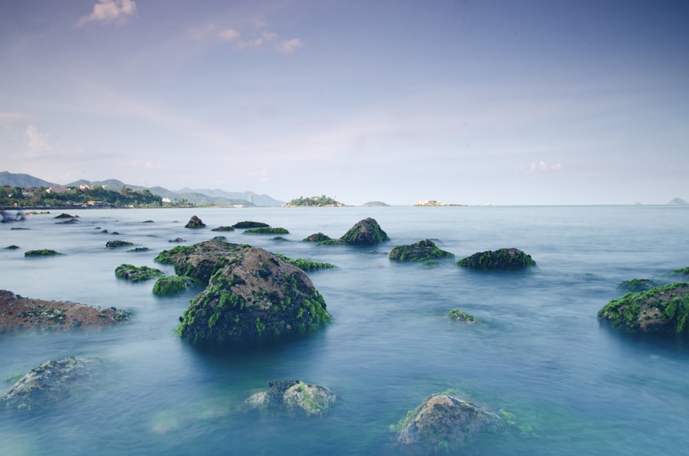 a group of rocks in the water