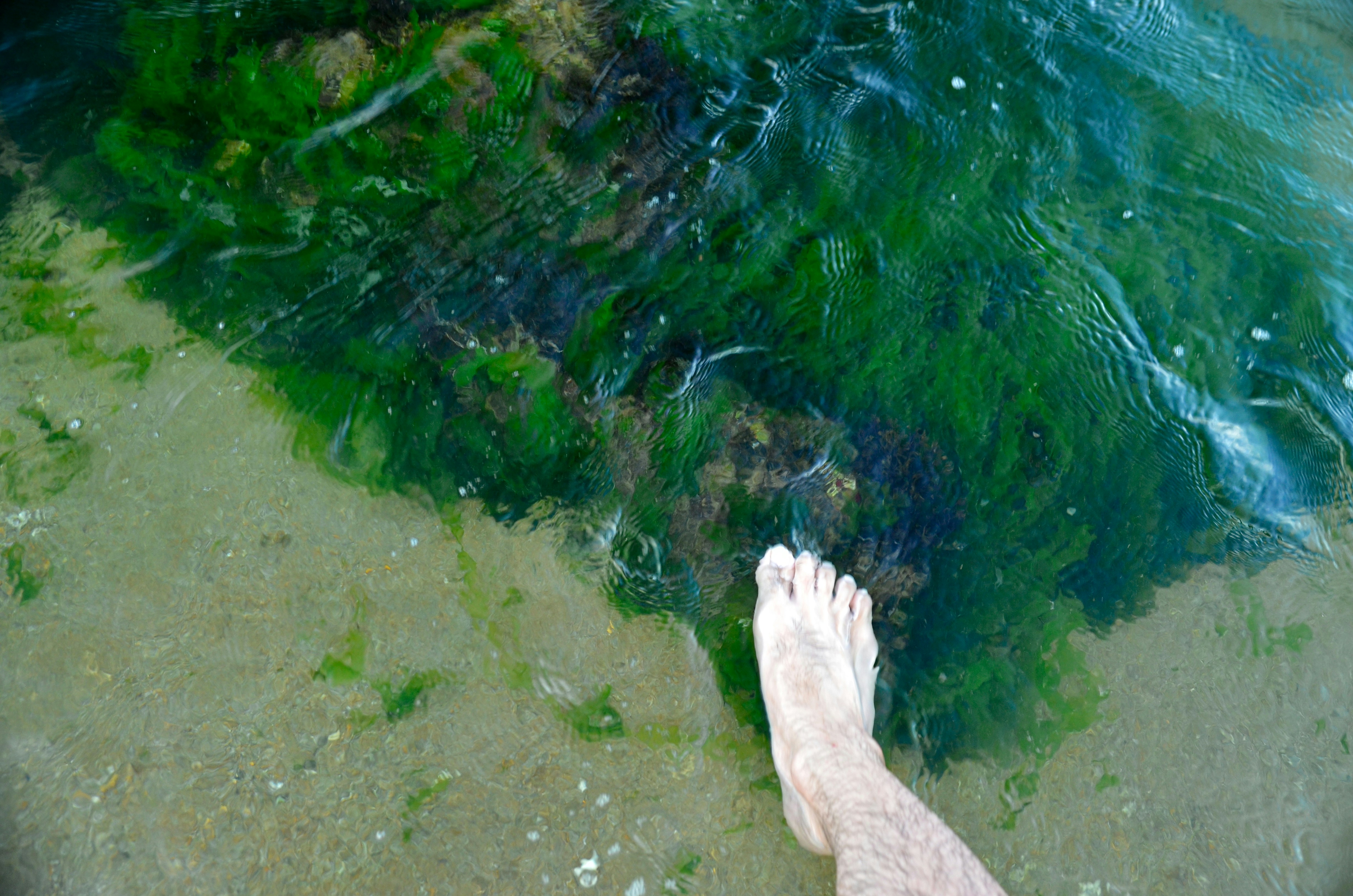 Residential towers representing four-bedroom apartment rentals in Nha Trang, Vietnam