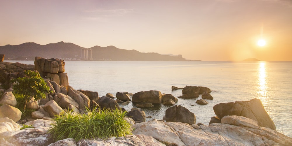 a body of water with rocks and grass by it