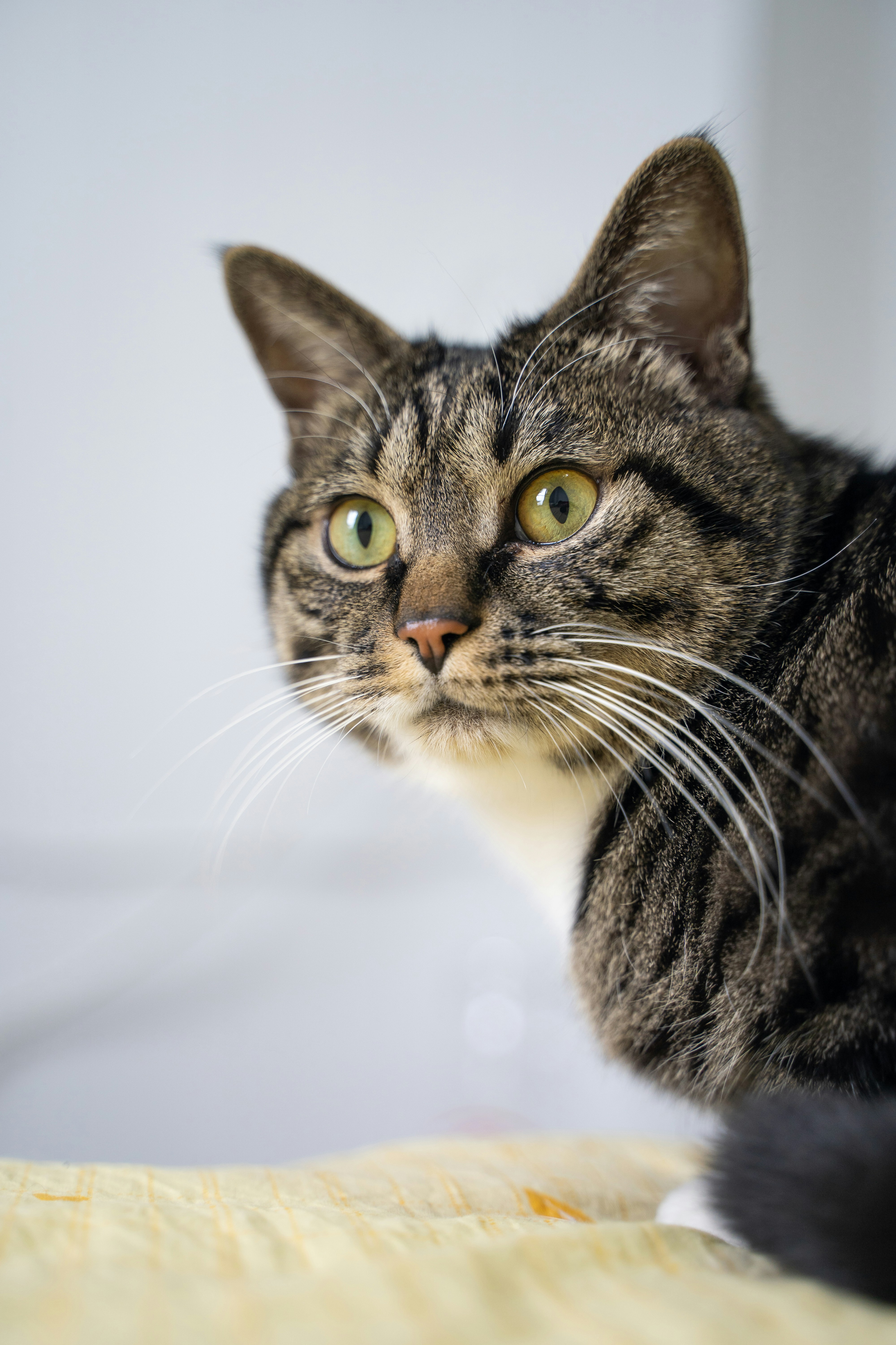 Photo by yooho962464