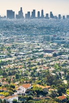 A sprawling urban landscape with a mix of residential homes and dense cityscape. In the foreground, there are numerous houses with lush greenery surrounding them. In the distance, a skyline of tall skyscrapers towers over the city, accentuating the contrast between suburban and urban environments.