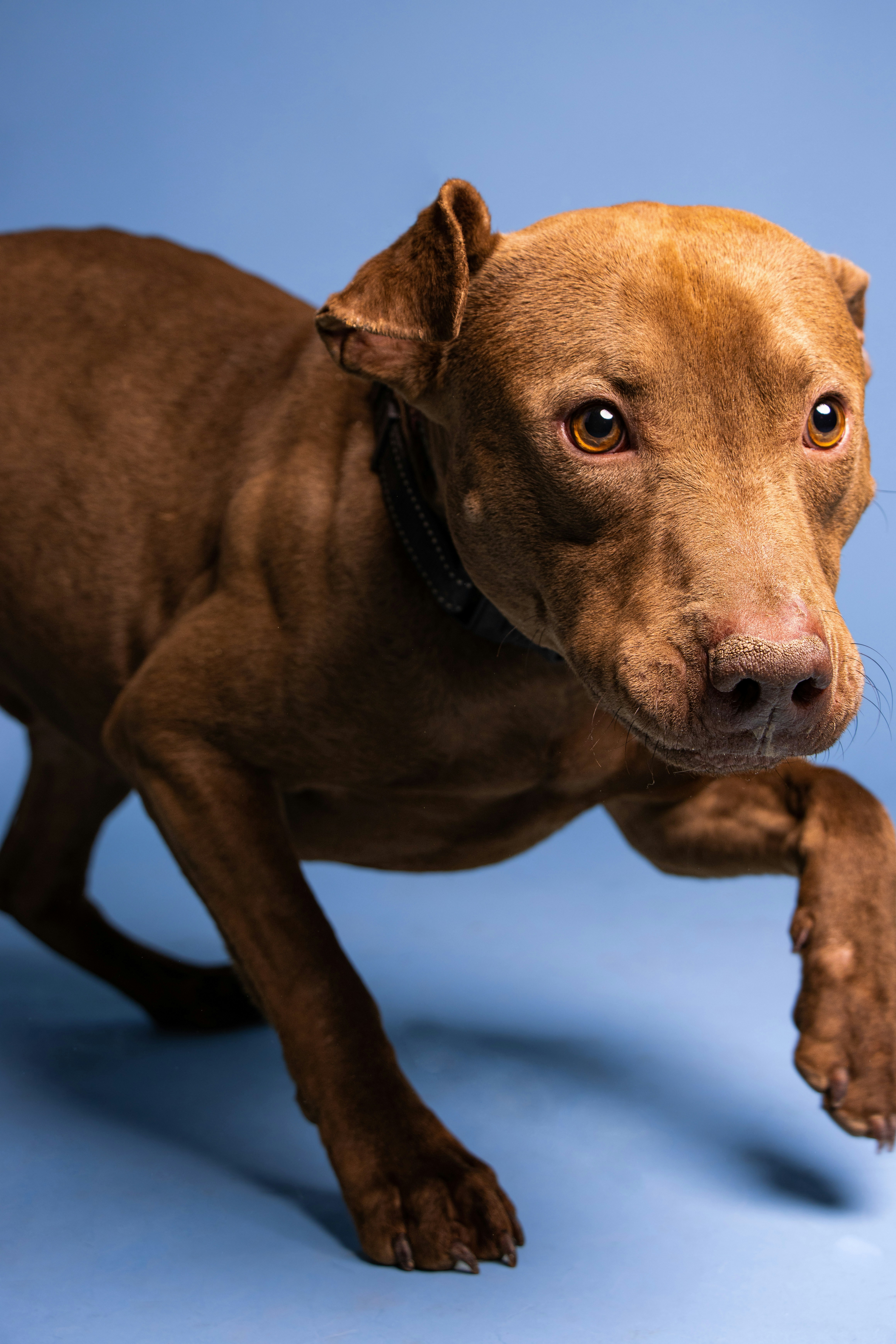 Photo by escape_your_mind