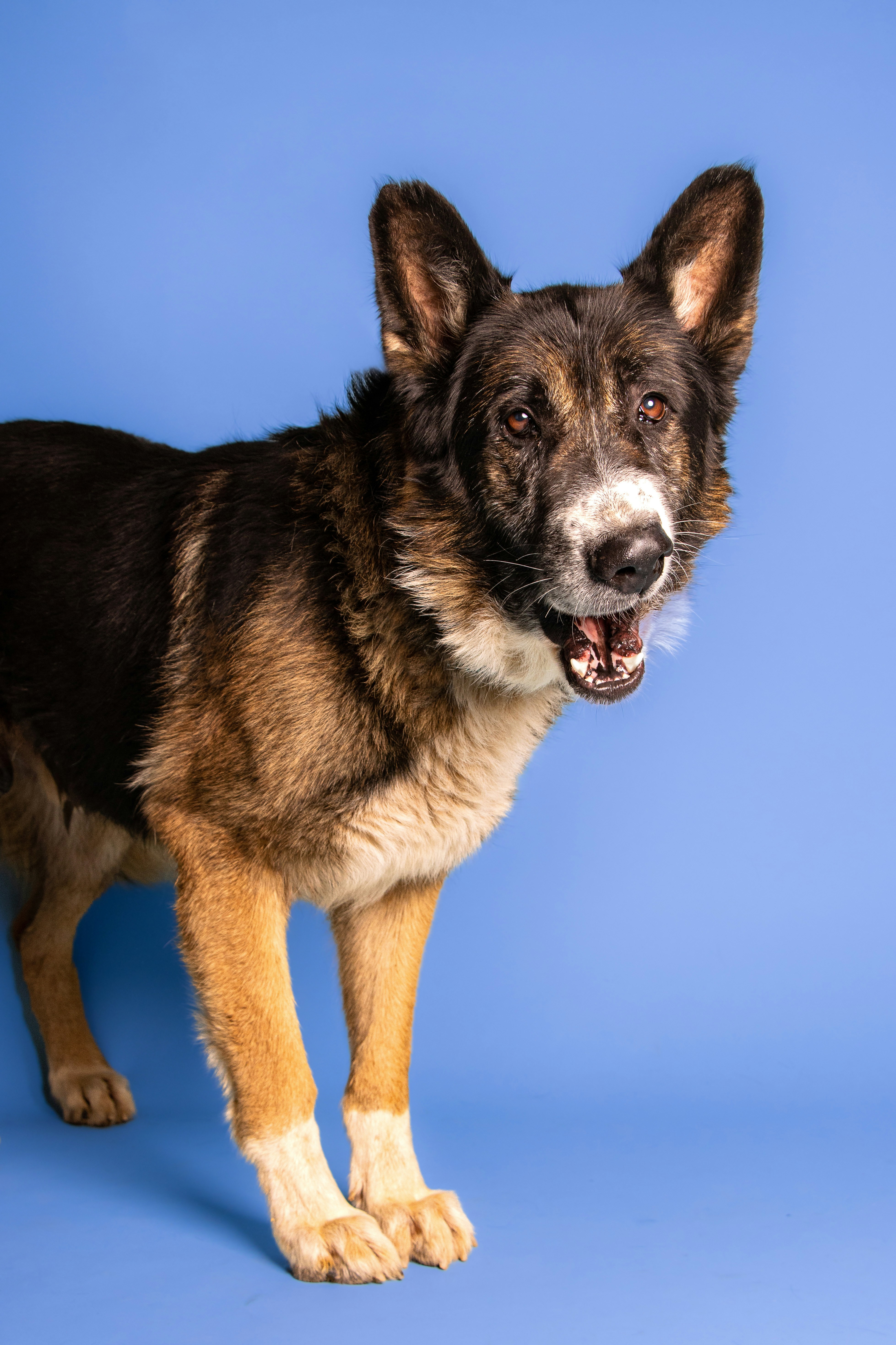 Photo by escape_your_mind