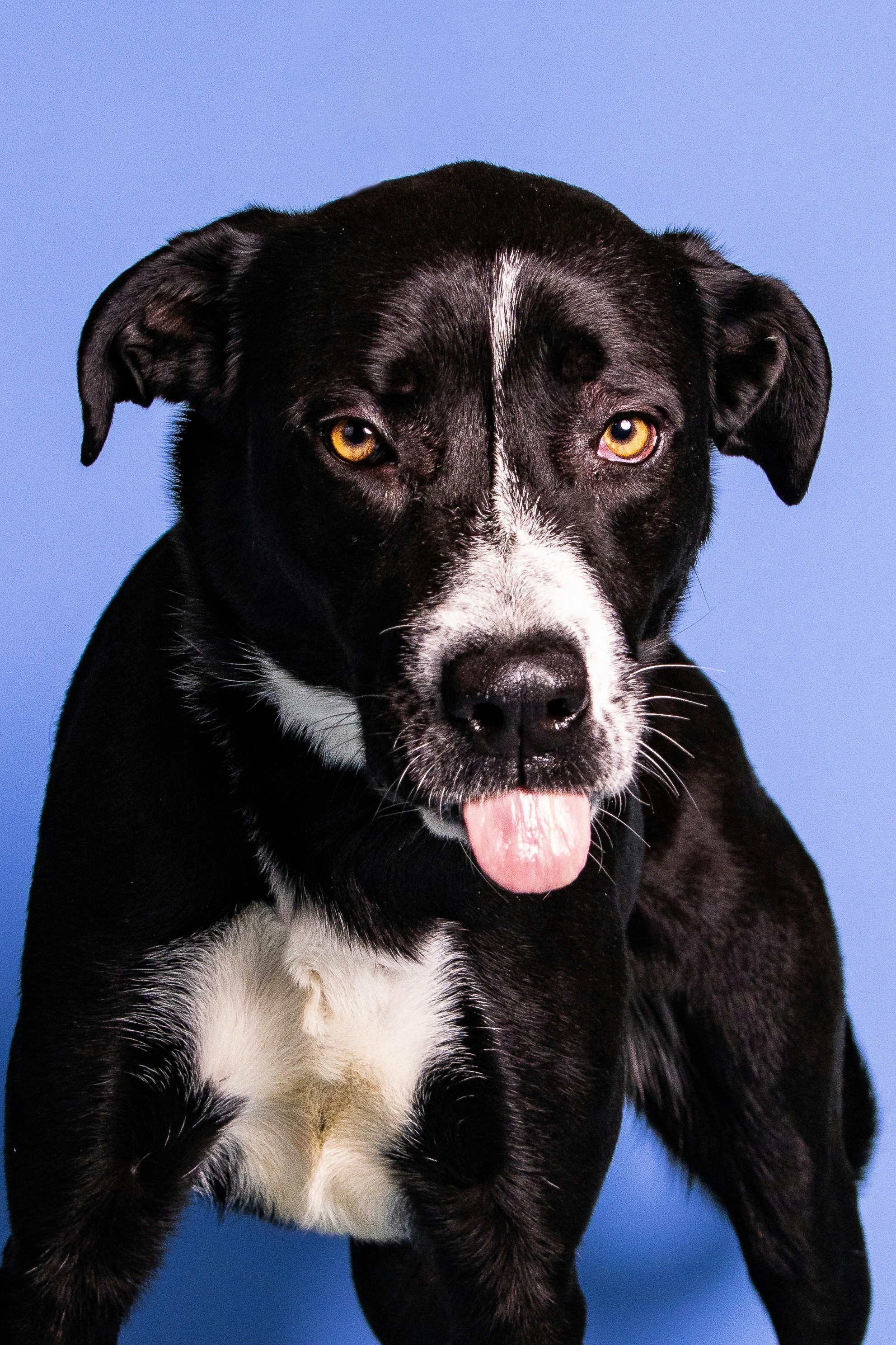 Photo by escape_your_mind