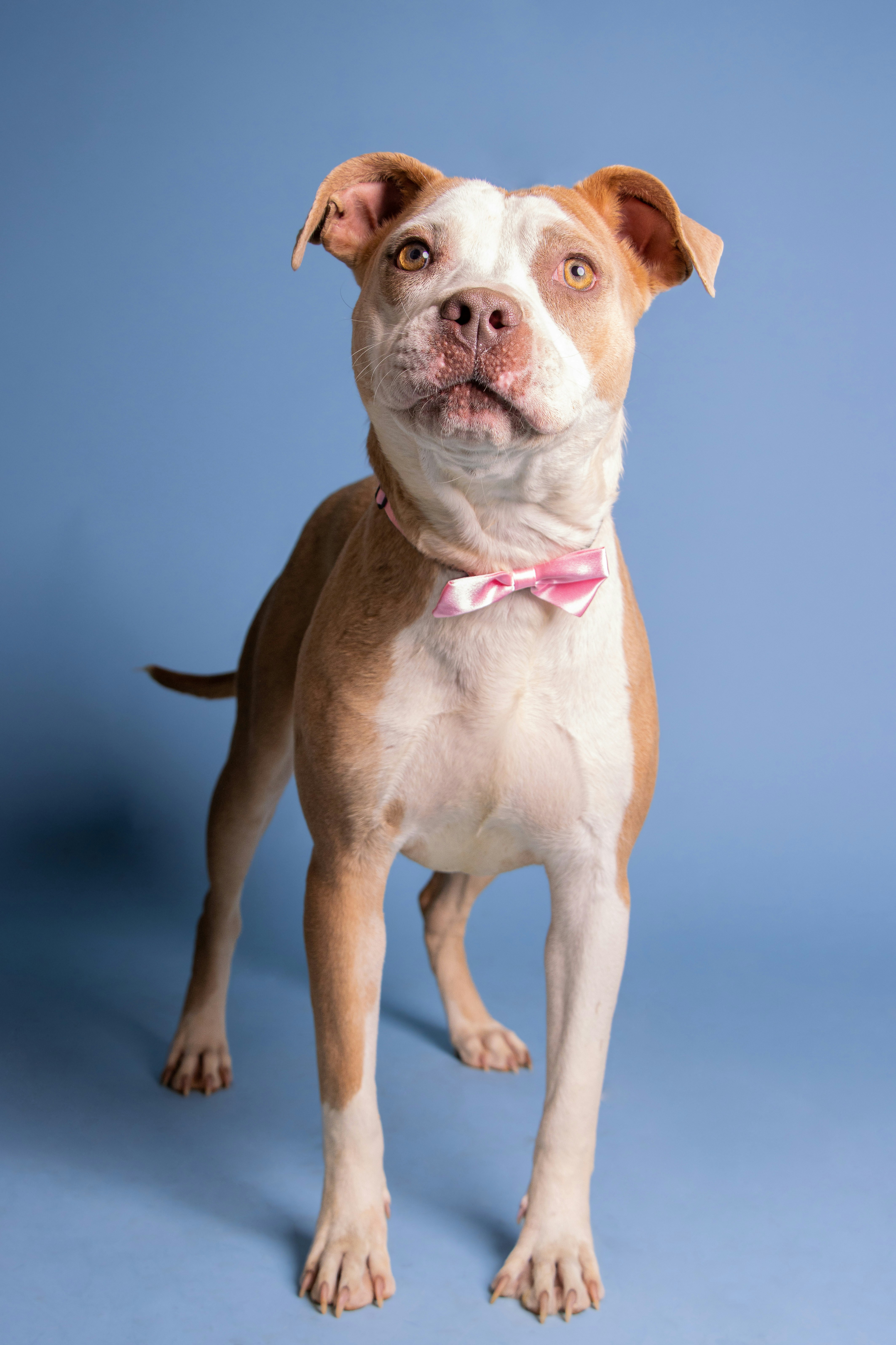 Photo by escape_your_mind