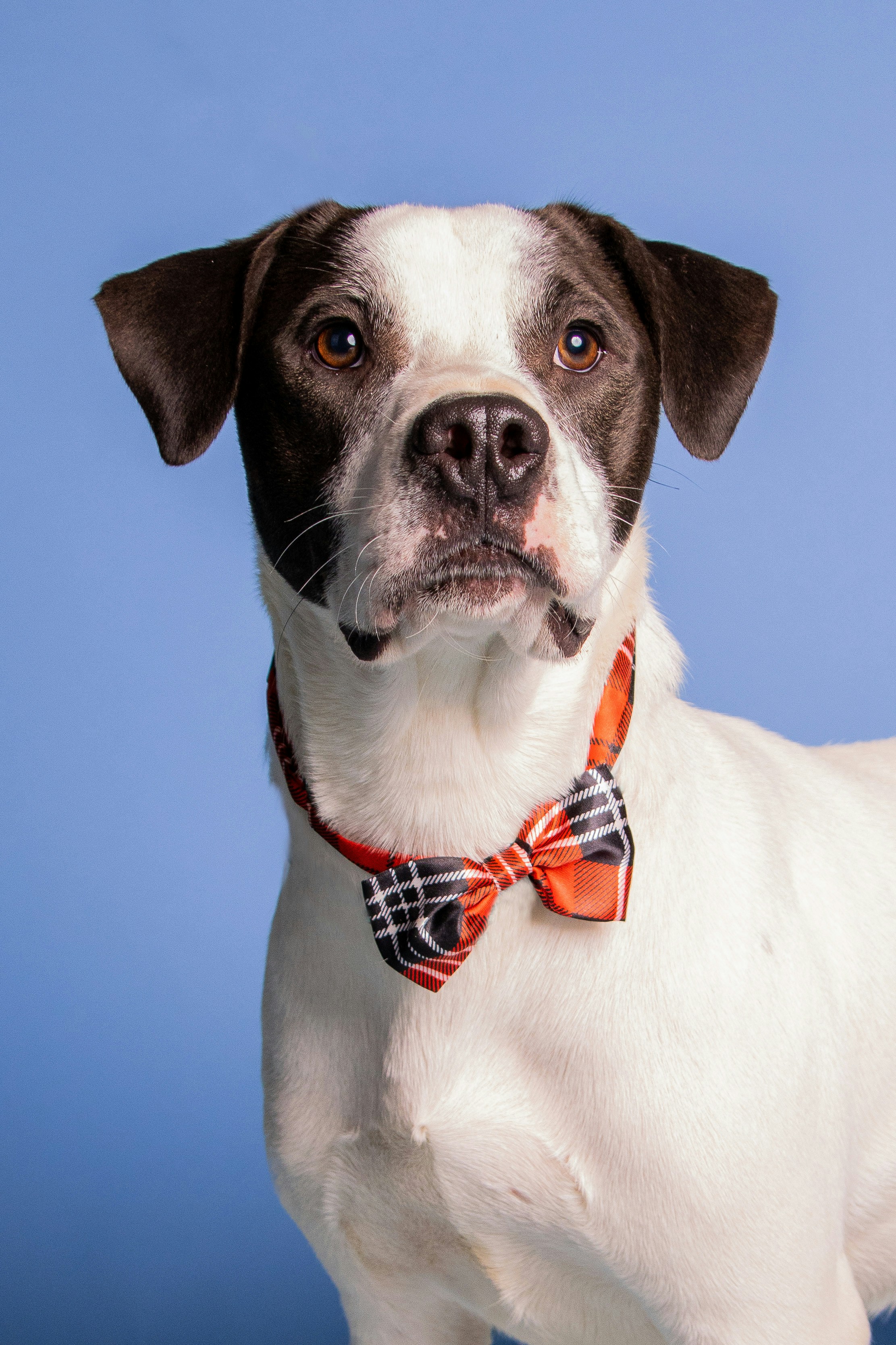 Photo by escape_your_mind