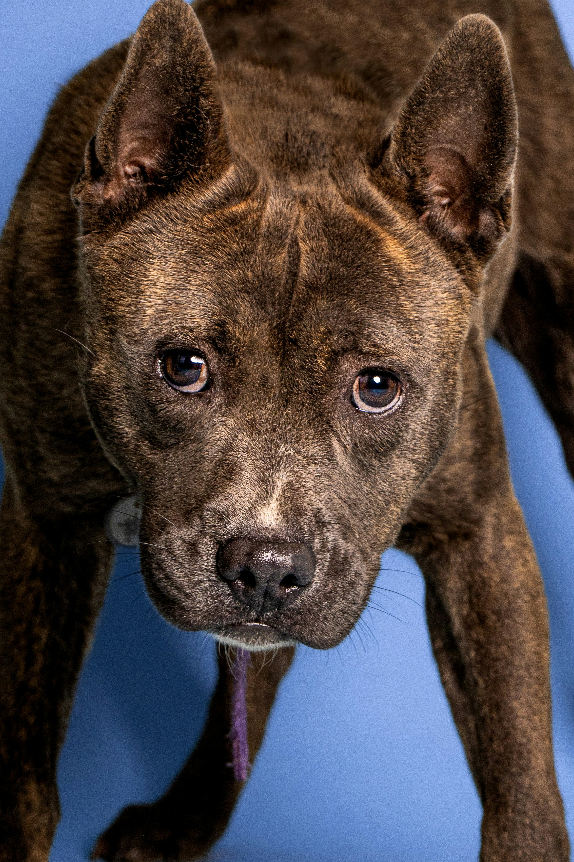 Photo by escape_your_mind