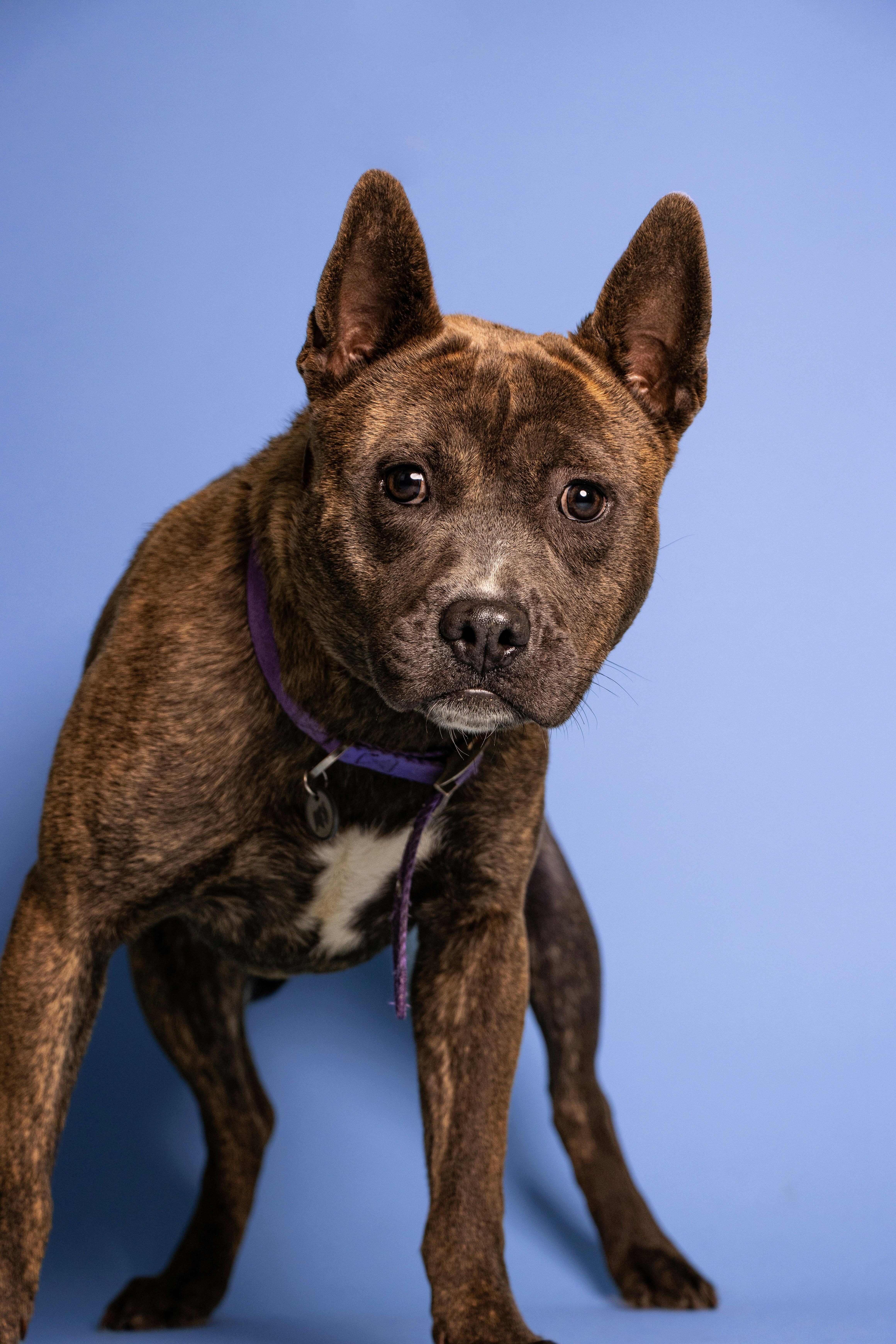 Photo by escape_your_mind