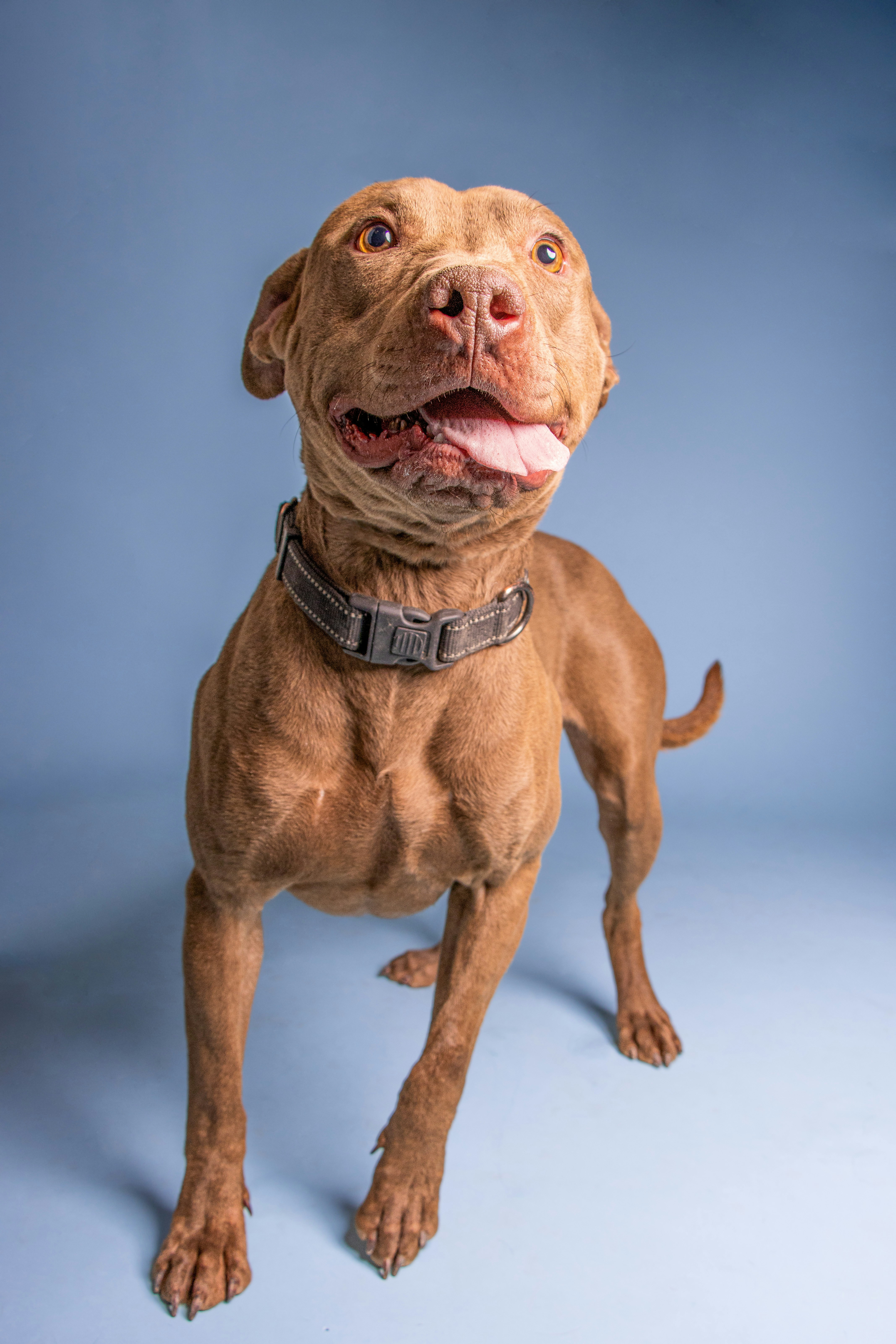 Photo by escape_your_mind