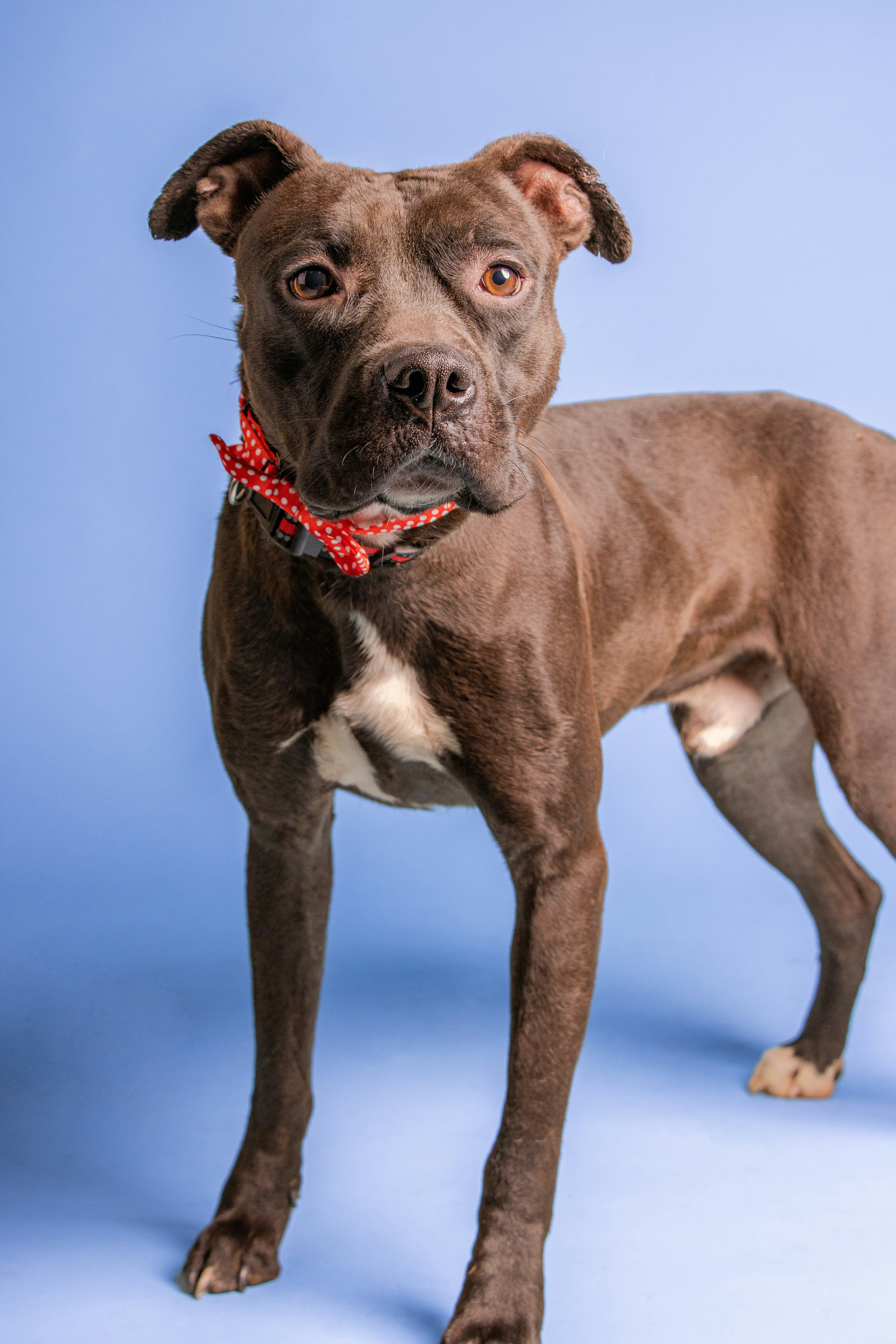 Photo by escape_your_mind