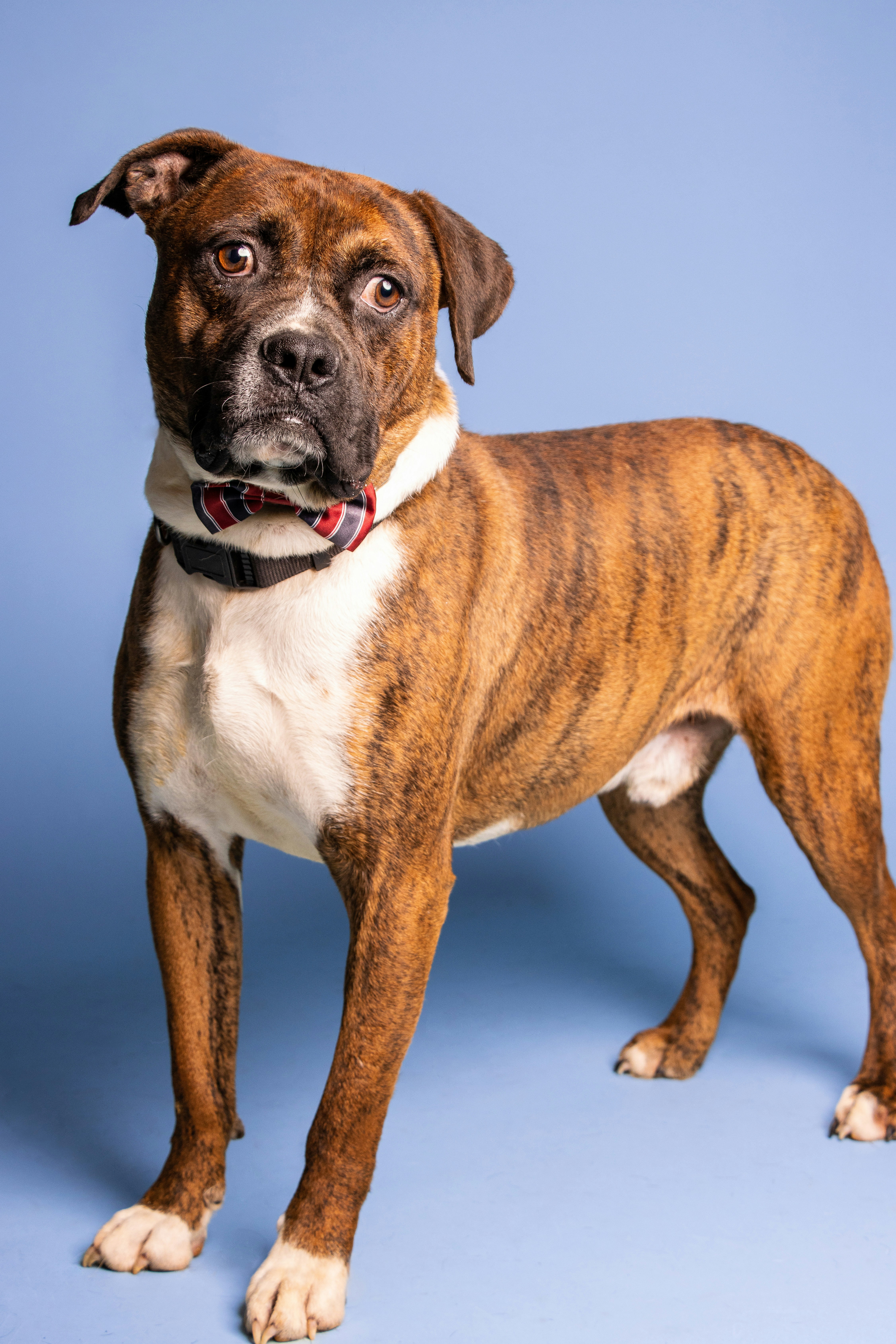 Photo by escape_your_mind