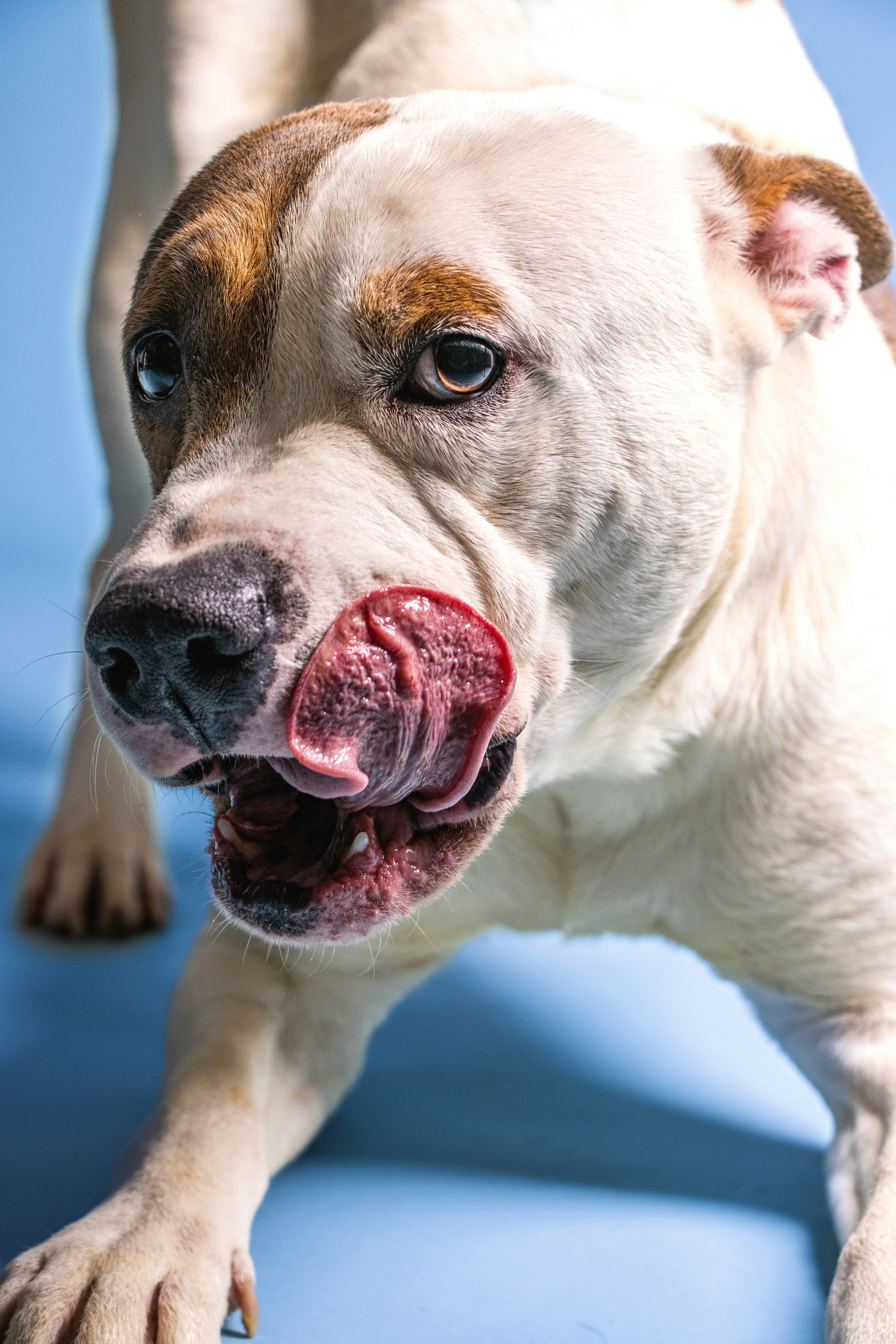 Photo by escape_your_mind