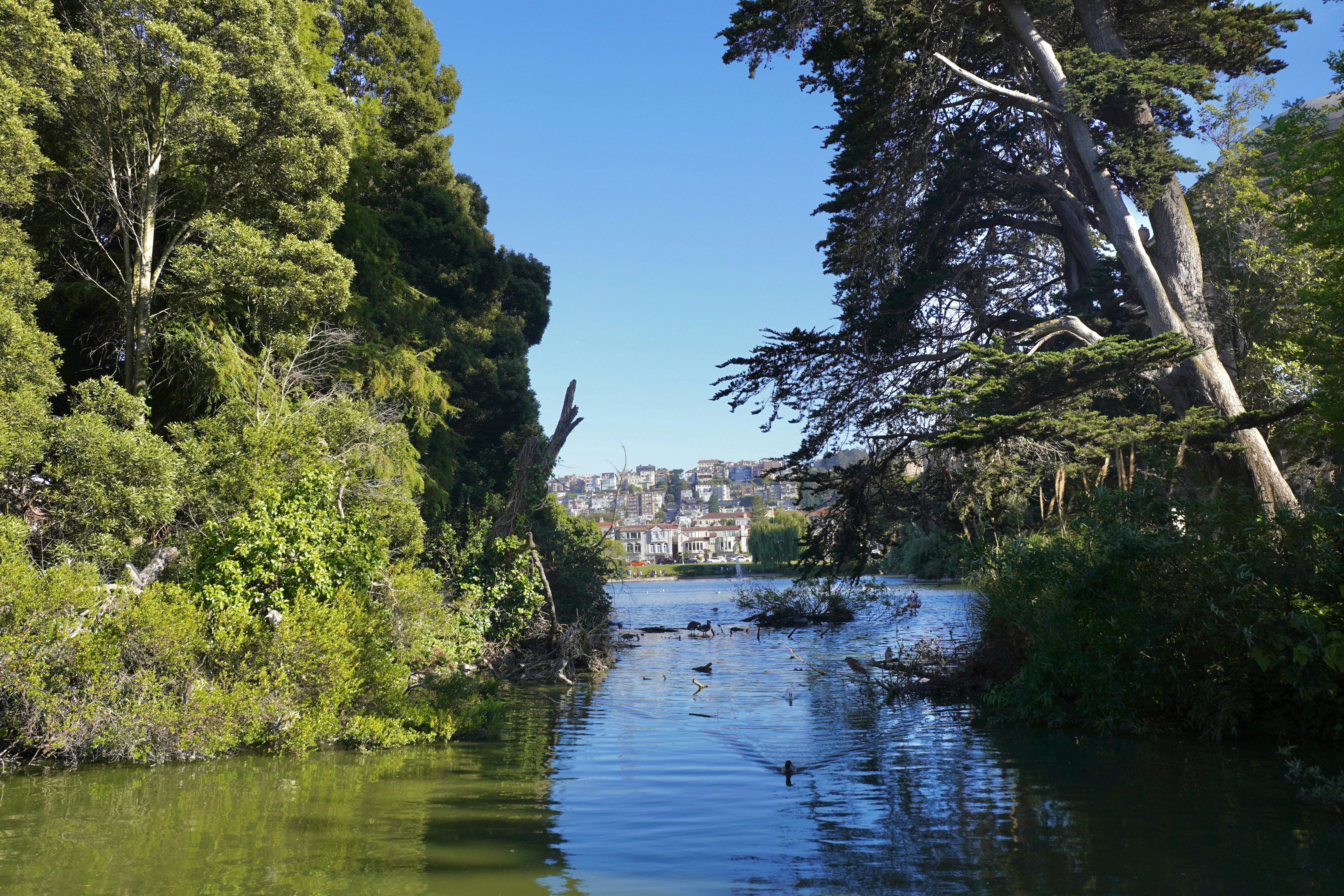 Thanksgiving Eve Headlines: Foreigners to Be Charged Extra to Enter Yosemite