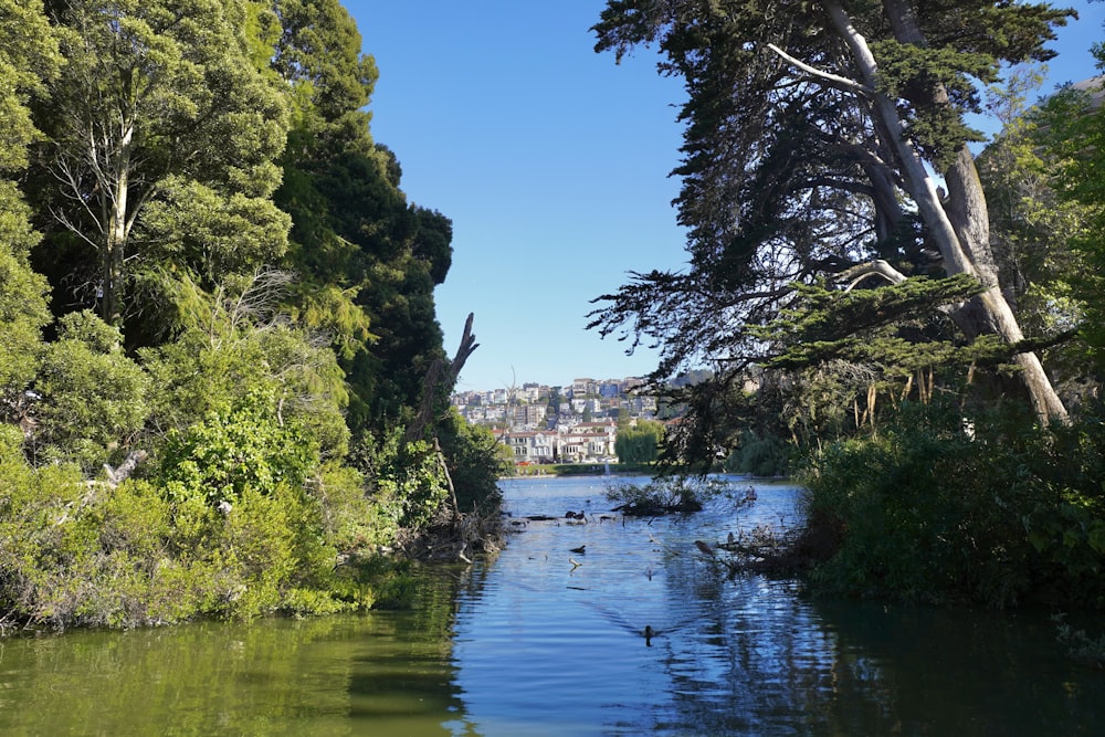 a river with trees and buildings in the background