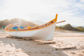 a boat on the beach