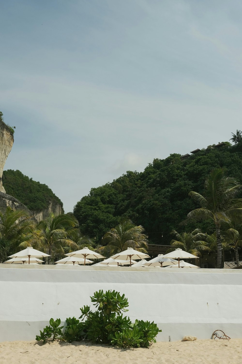 Una playa con tiendas blancas y árboles