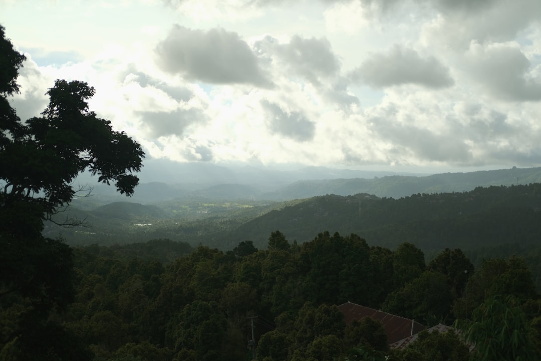 Ecoregion photo spot Munduk Mount Agung