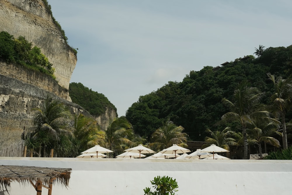 a beach with umbrellas and trees