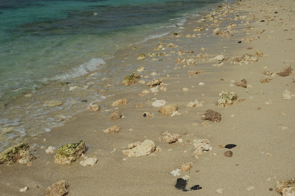 una spiaggia con rocce e sabbia