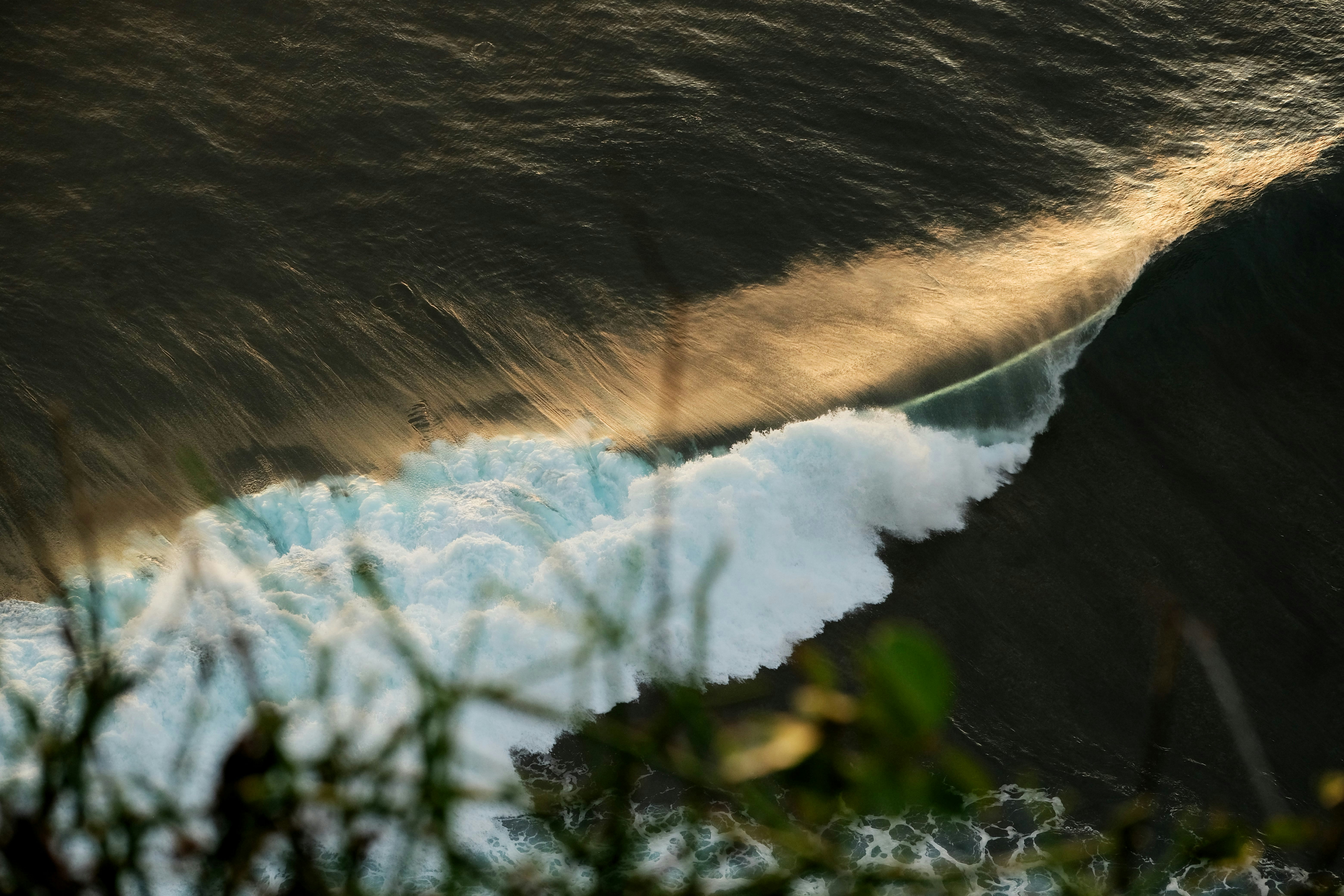 a rainbow over a forest