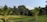 A lush, green landscape featuring a variety of tropical trees and plants. The foreground is dominated by tall palm trees and neatly trimmed grass on a gently sloping hill. In the background, there is a dense forested area with a mix of different tree types under a clear blue sky.